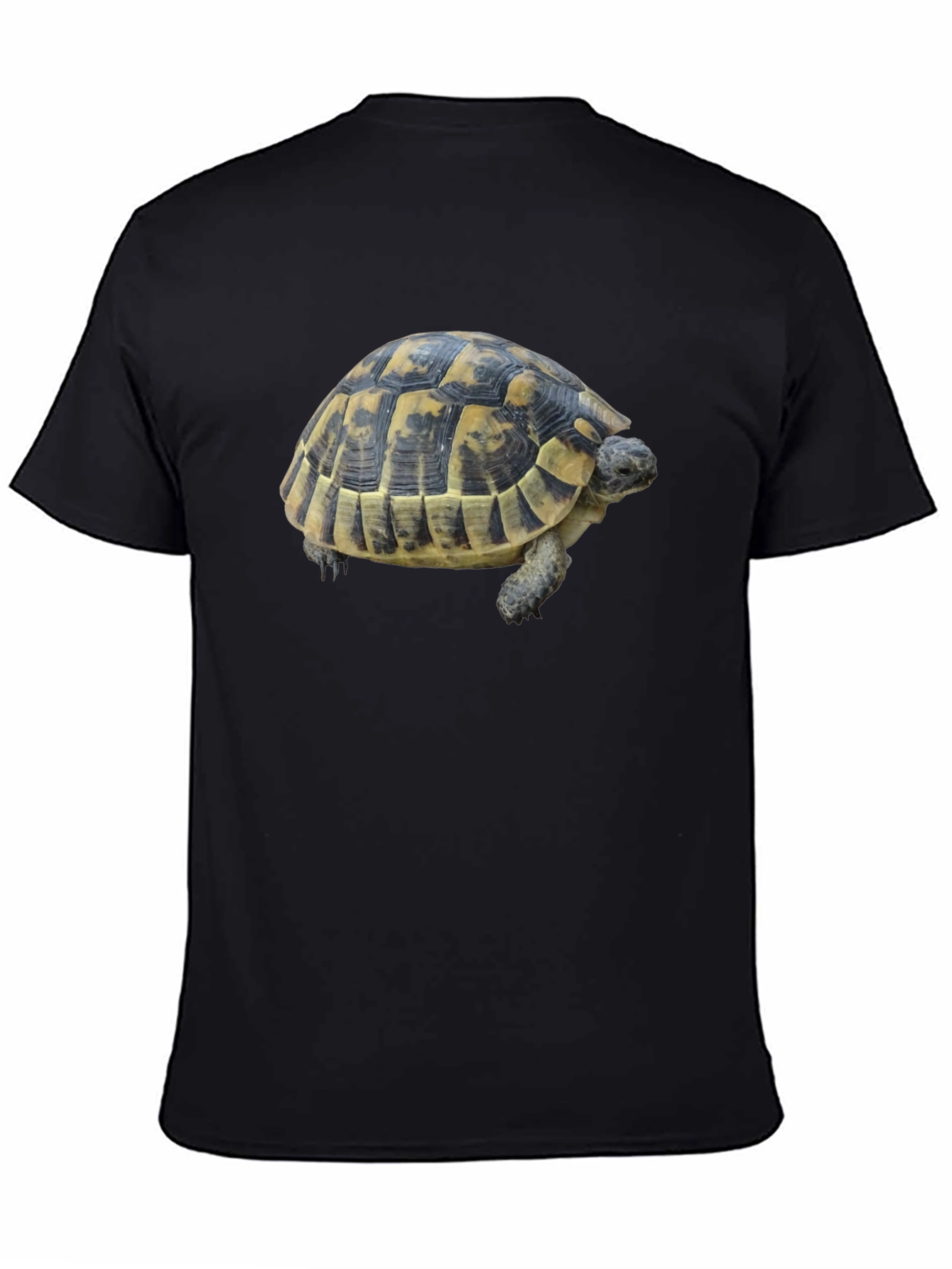 Turtle Graphic Tee - Black Cotton Shirt