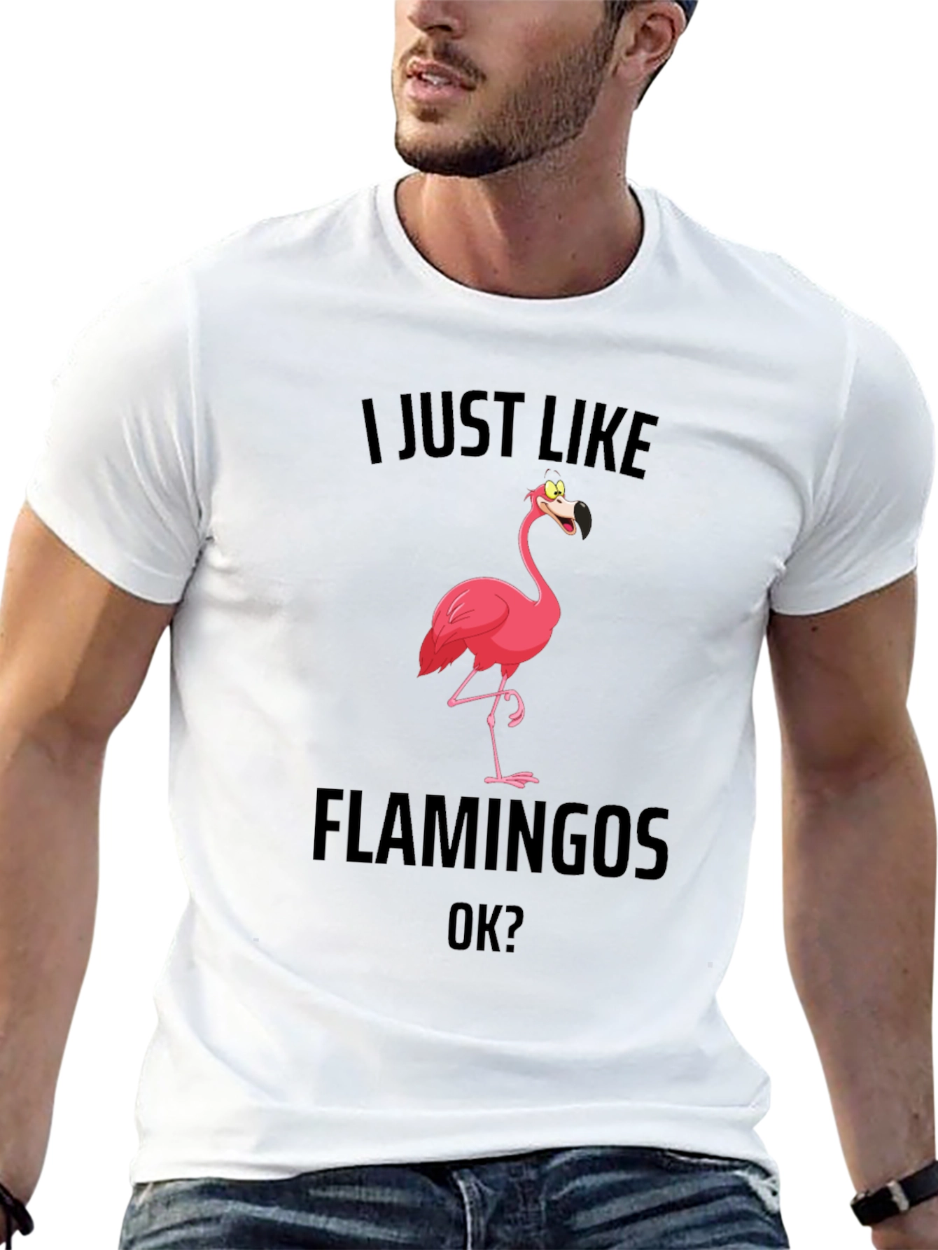 Funny Flamingo T-Shirt - I Just Like Flamingos OK?
