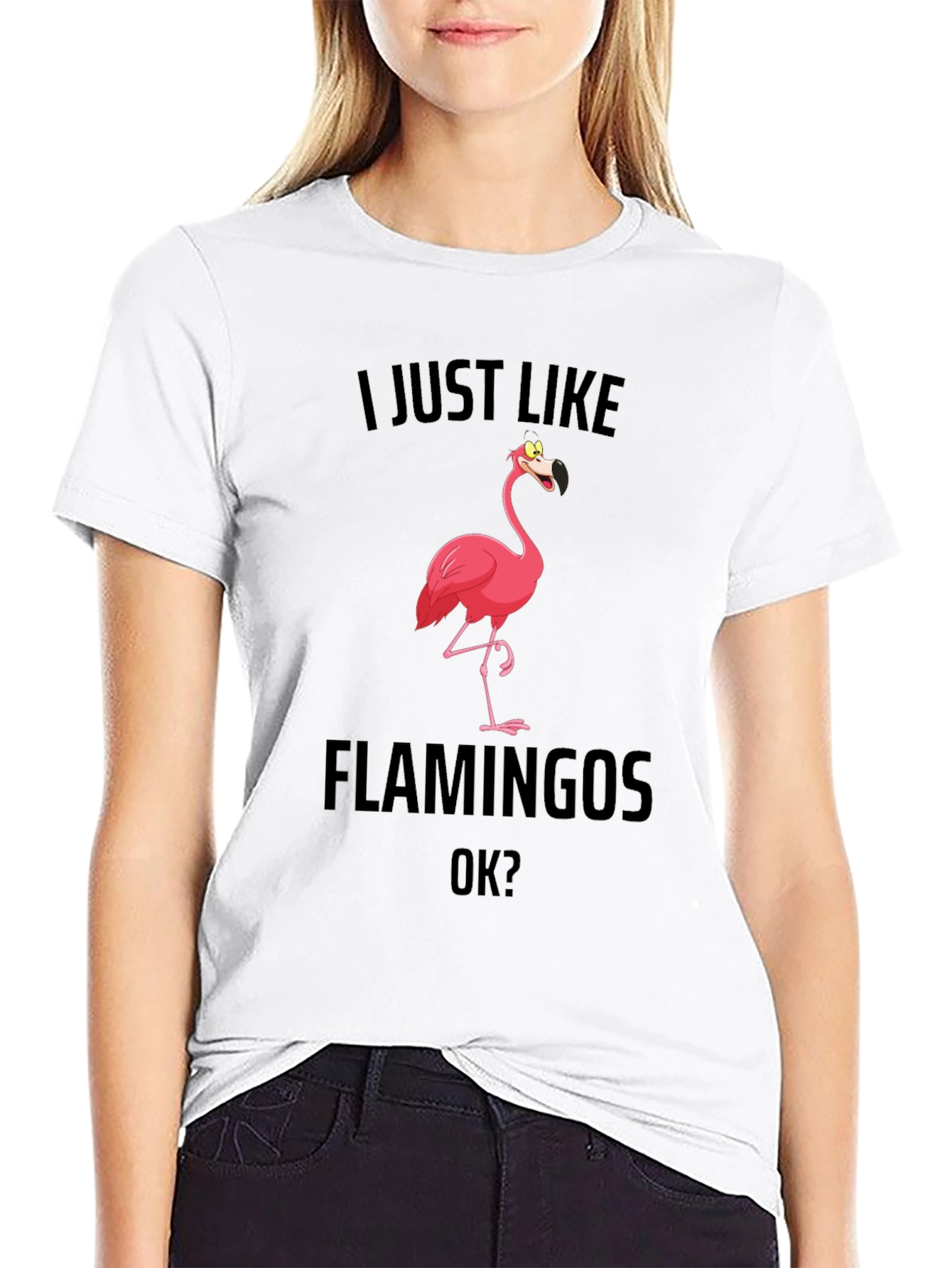 Funny Flamingo T-Shirt - I Just Like Flamingos OK?
