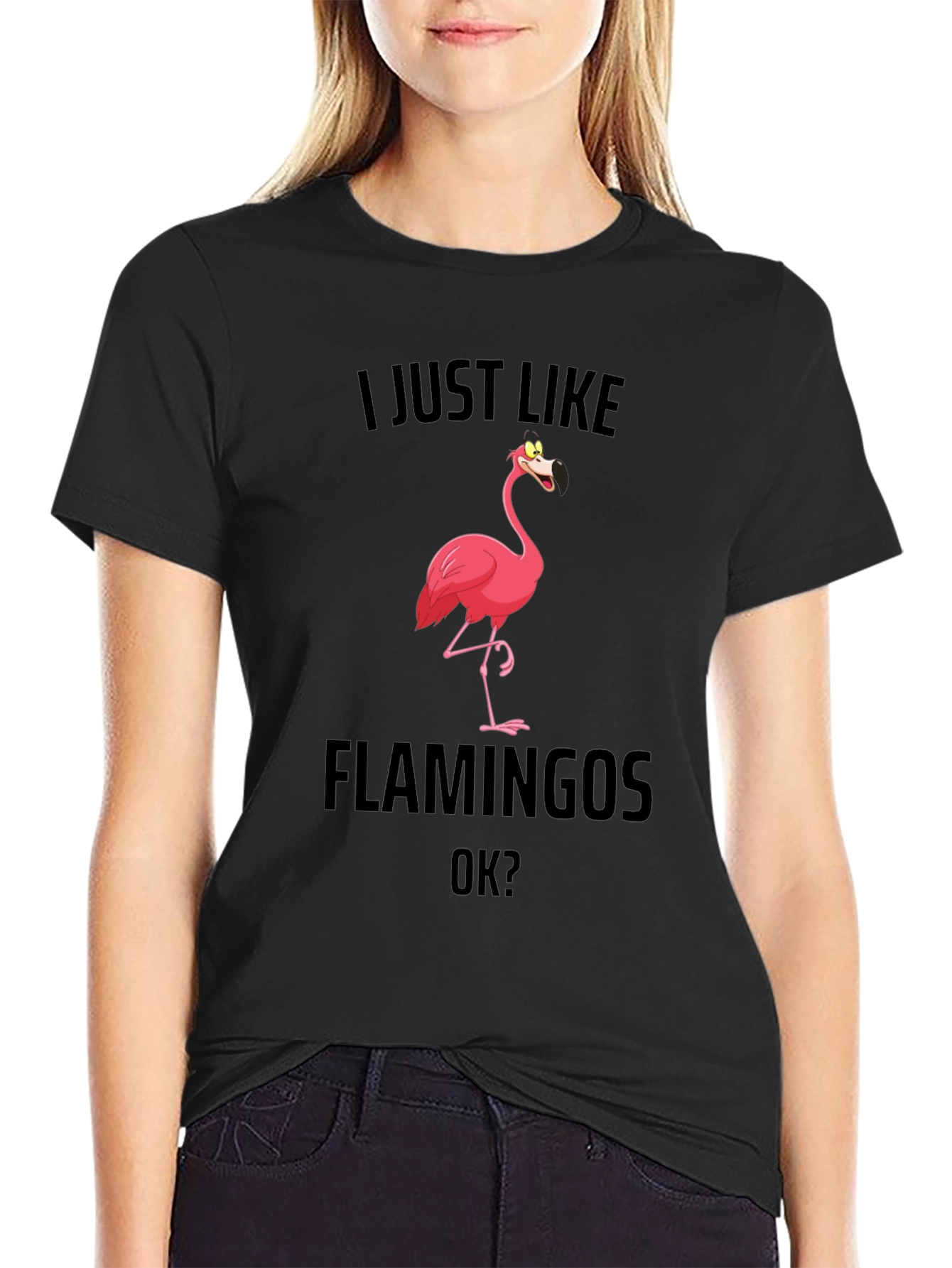 Funny Flamingo T-Shirt - I Just Like Flamingos OK?