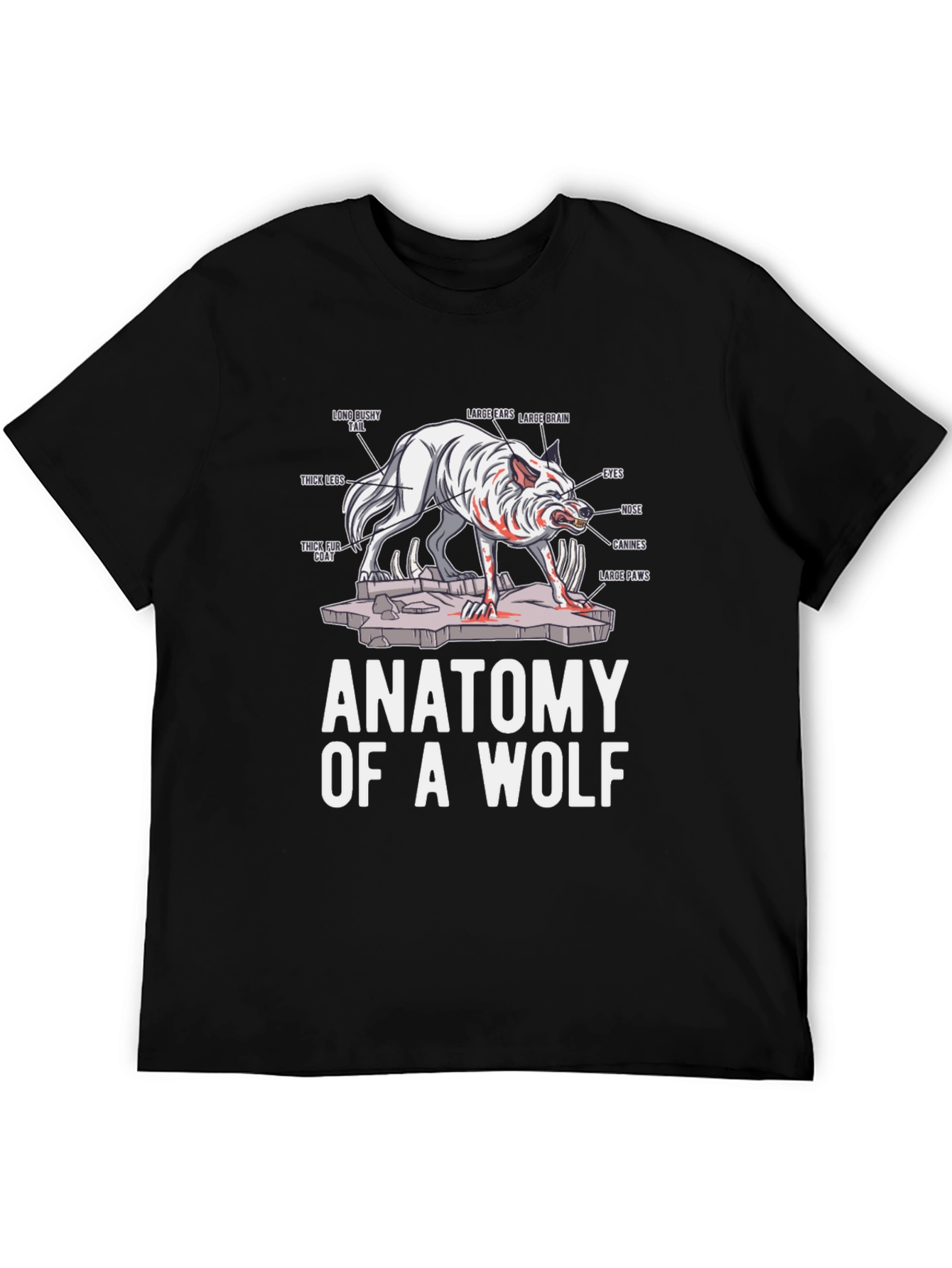 Anatomy of a Wolf Graphic T-Shirt