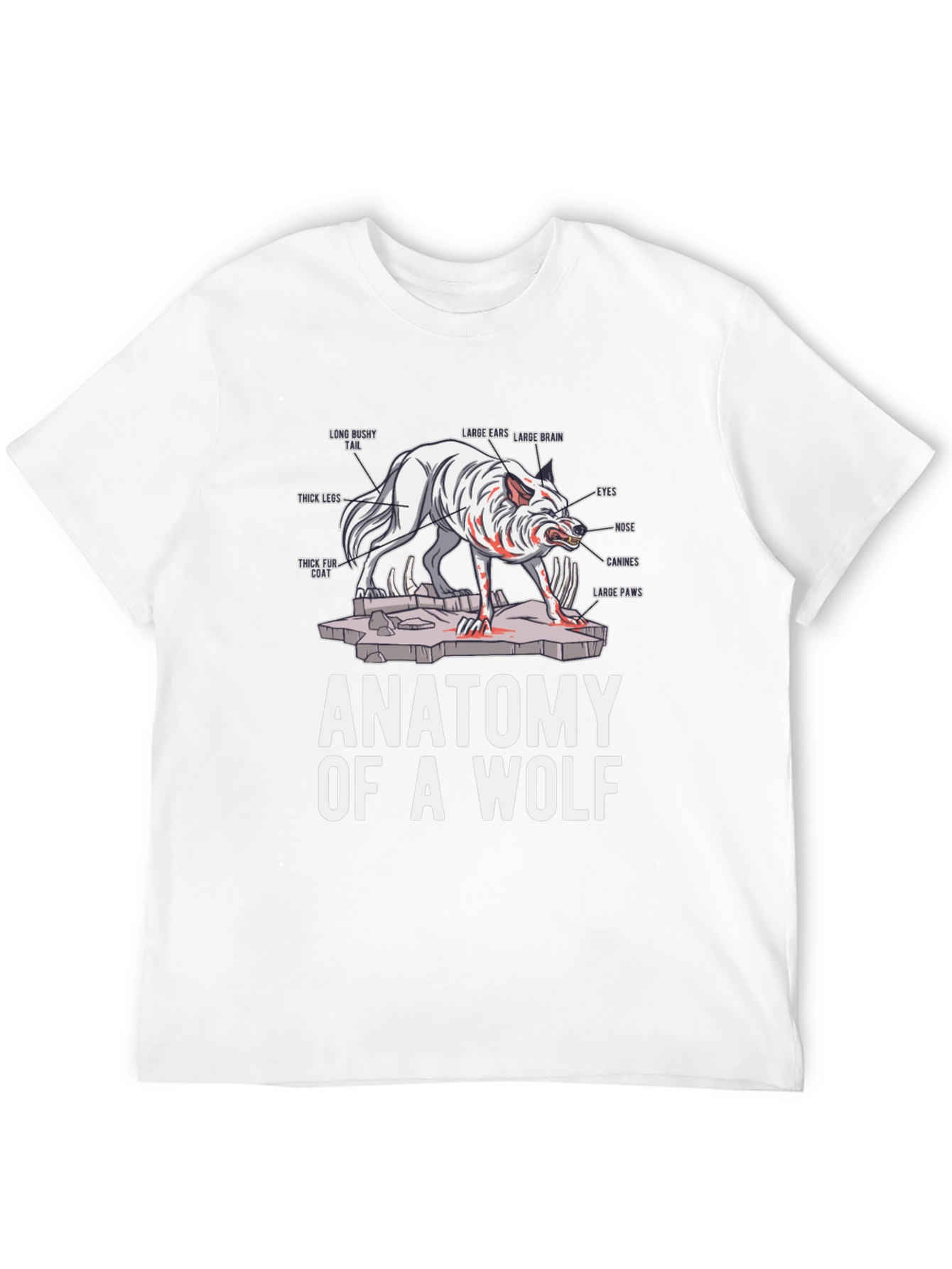 Anatomy of a Wolf Graphic T-Shirt