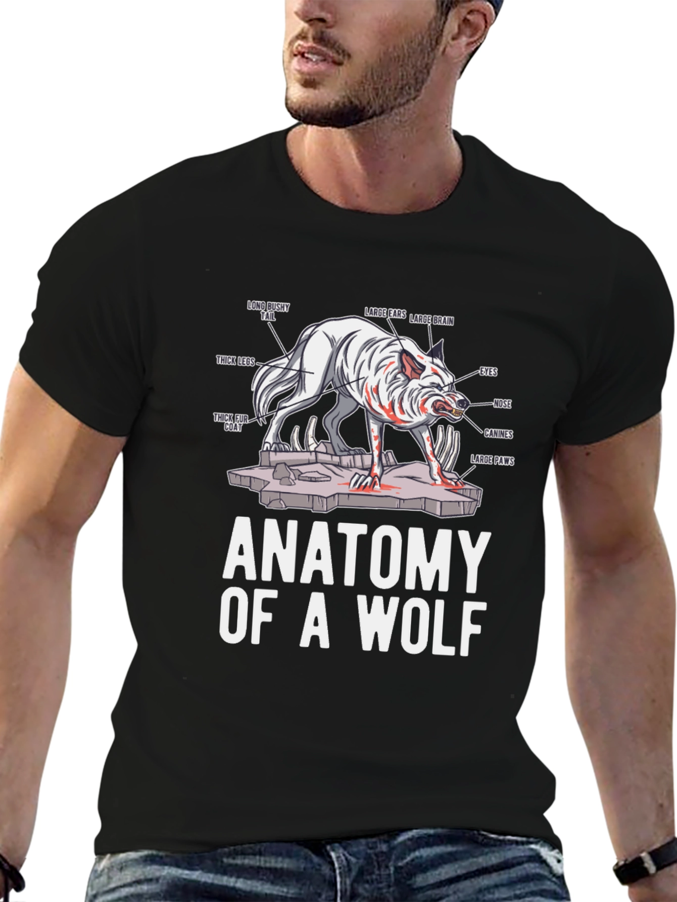 Anatomy of a Wolf Graphic T-Shirt