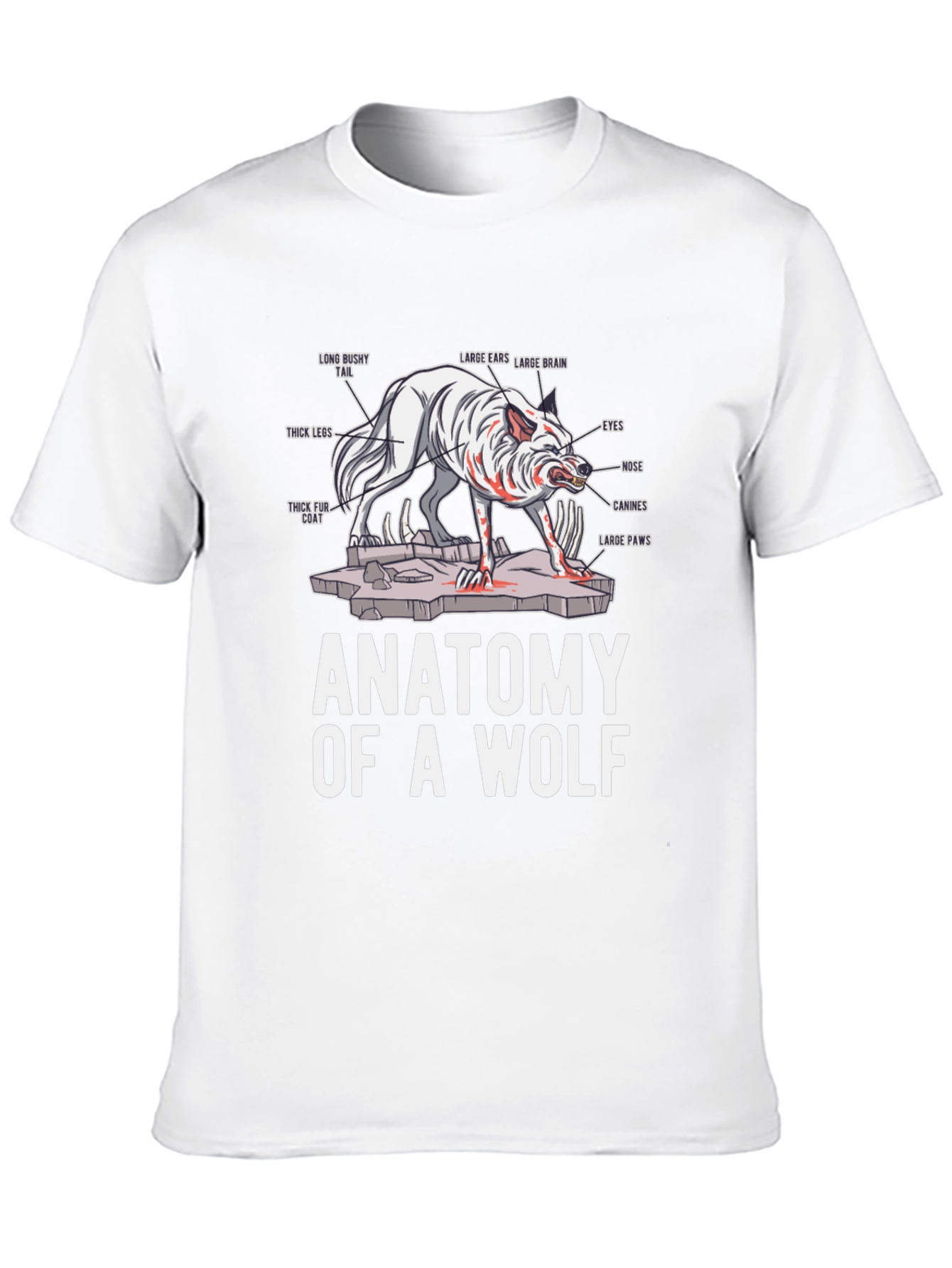 Anatomy of a Wolf Graphic T-Shirt