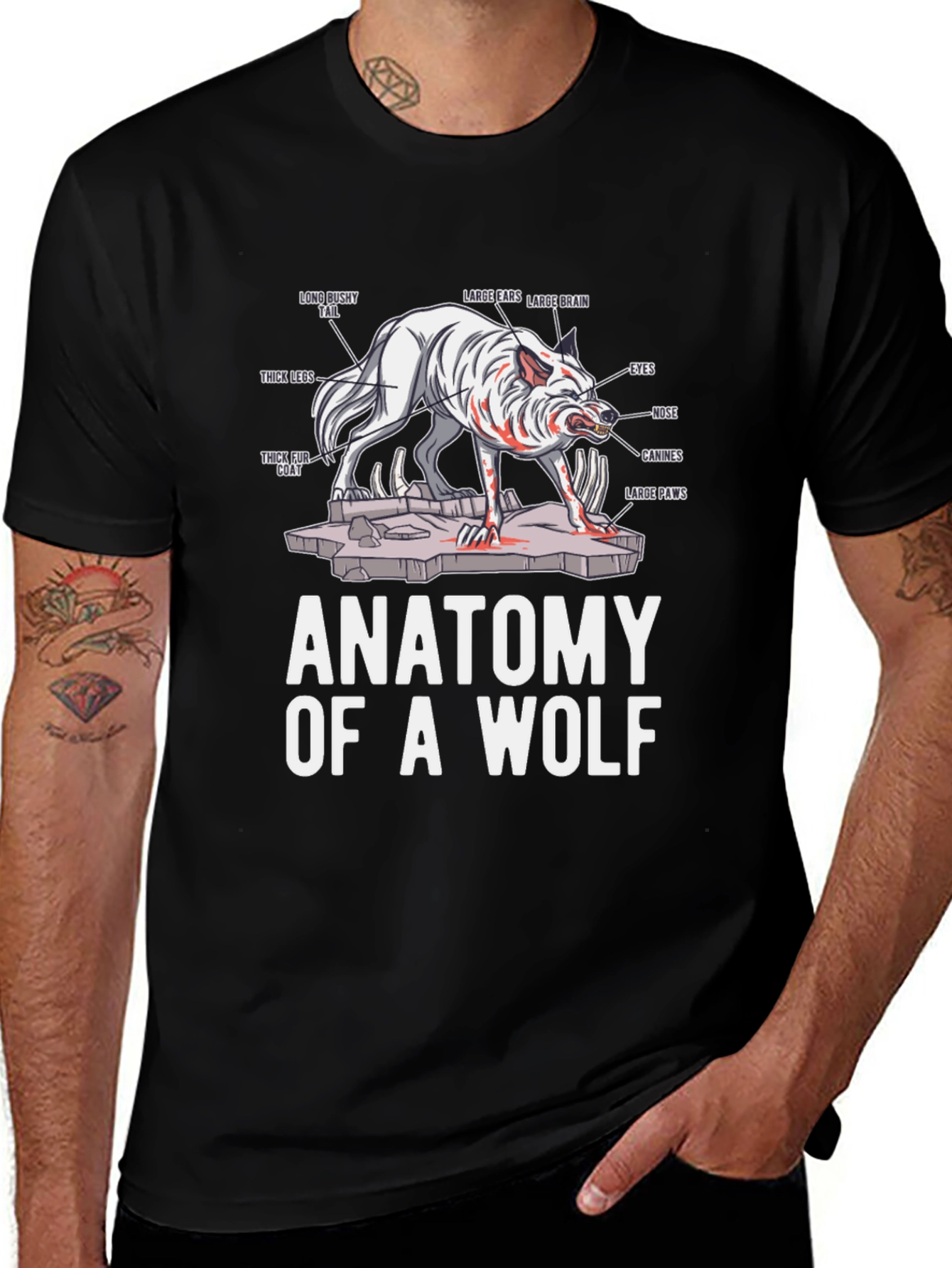 Anatomy of a Wolf Graphic T-Shirt