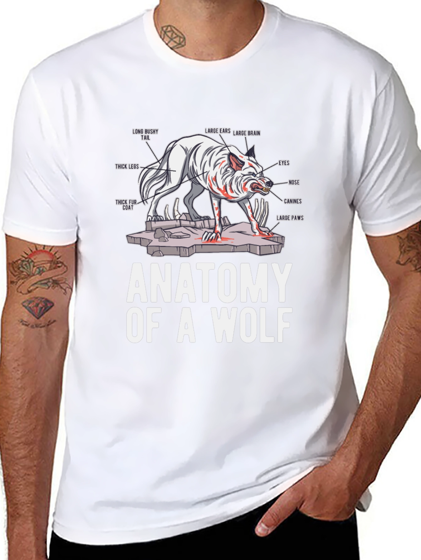 Anatomy of a Wolf Graphic T-Shirt