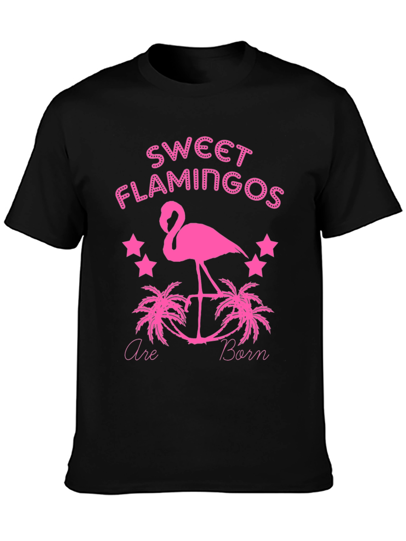 Sweet Flamingos Graphic Tee - Black T-Shirt