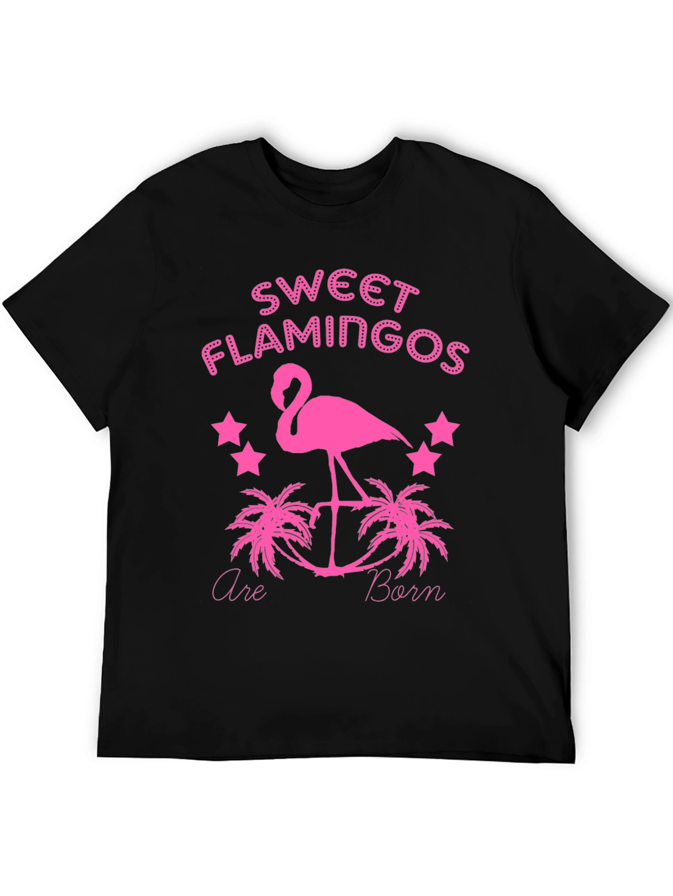 Sweet Flamingos Graphic Tee - Black T-Shirt