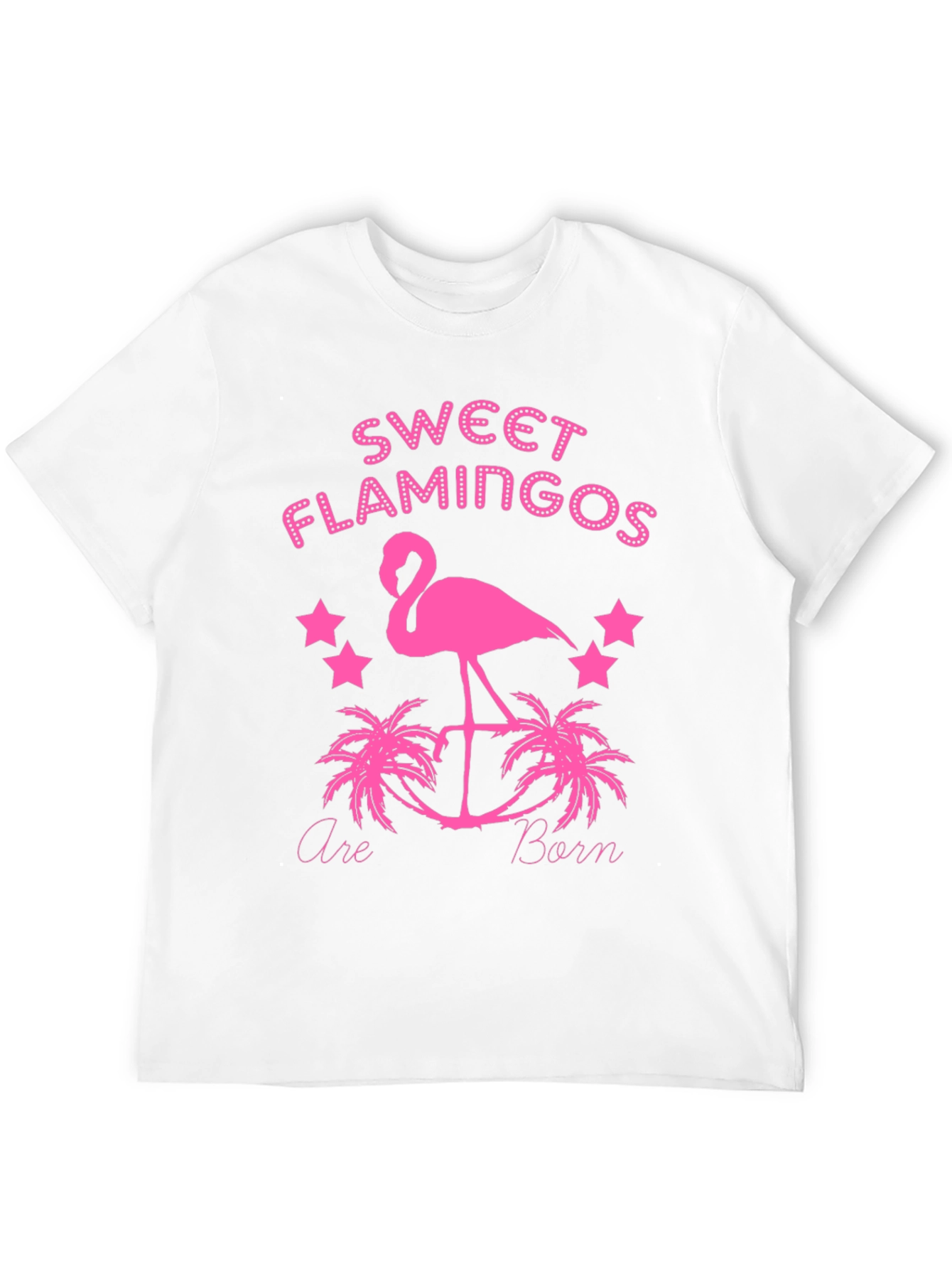 Sweet Flamingos Graphic Tee - Black T-Shirt