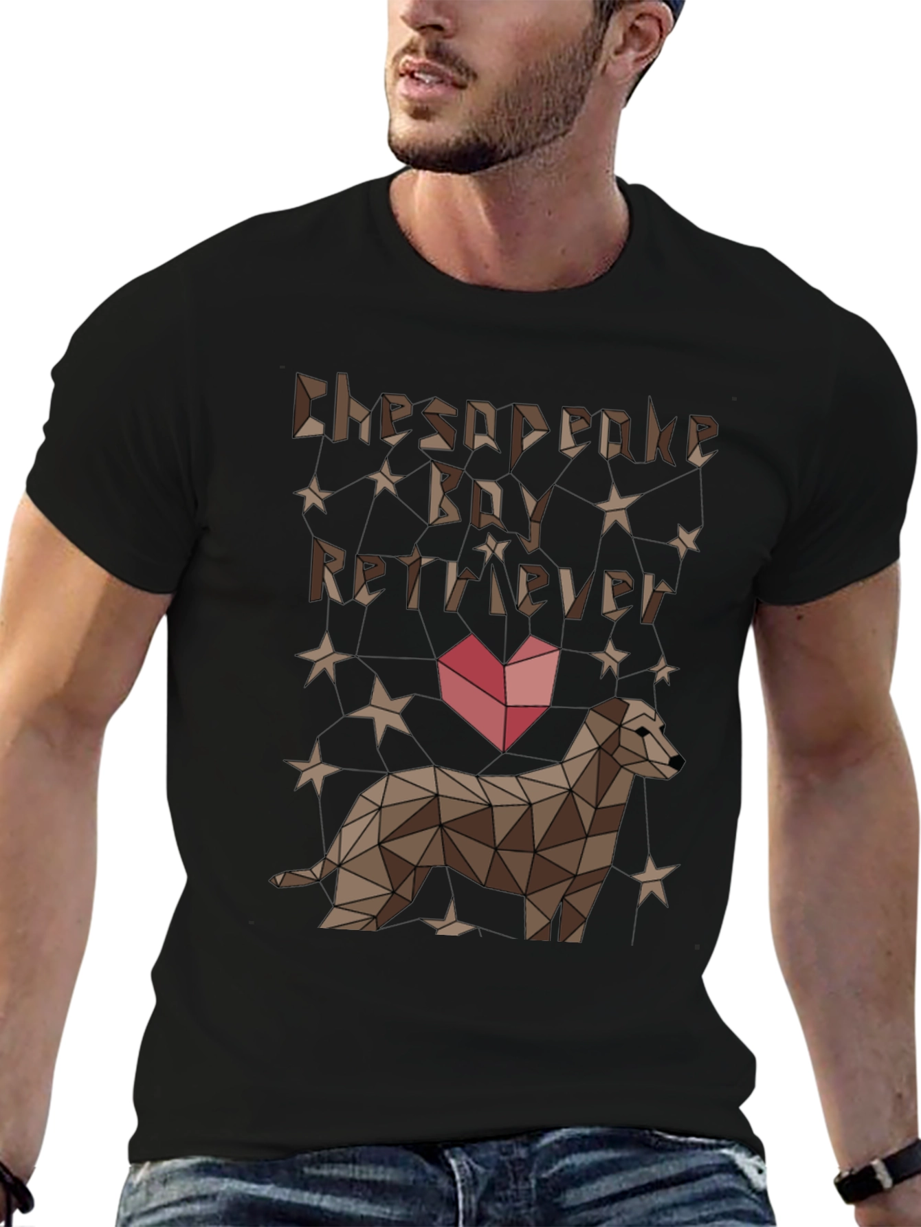Chesapeake Bay Retriever Geometric T-Shirt