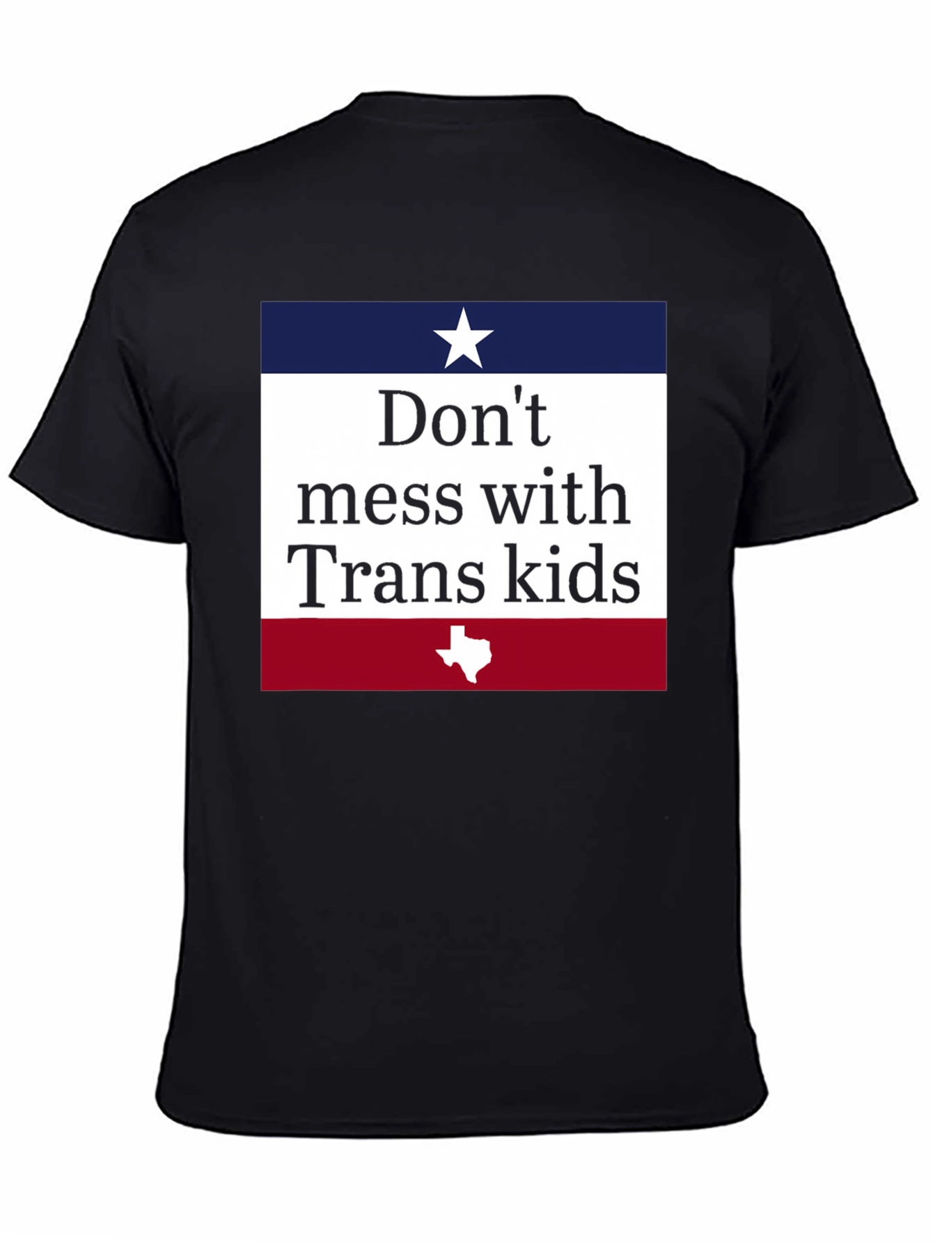 Dont Mess With Trans Kids T-Shirt