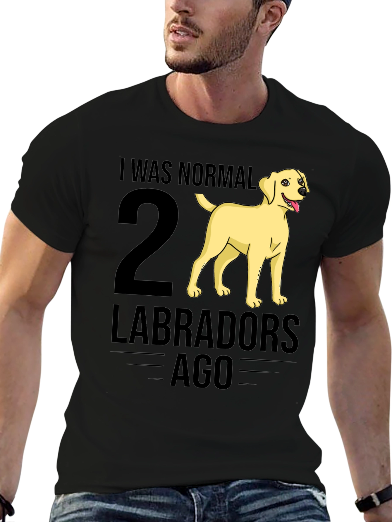 I Was Normal 2 Labradors Ago T-Shirt