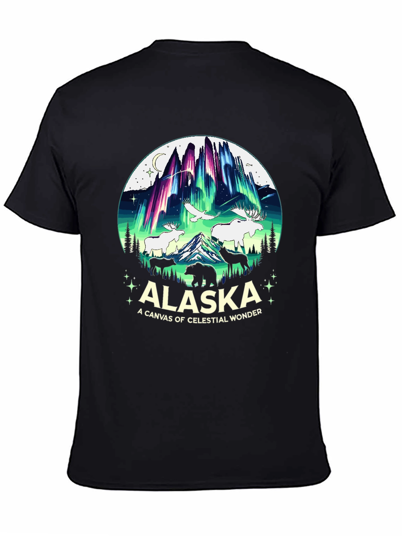 Alaska Celestial Wonder Graphic T-Shirt
