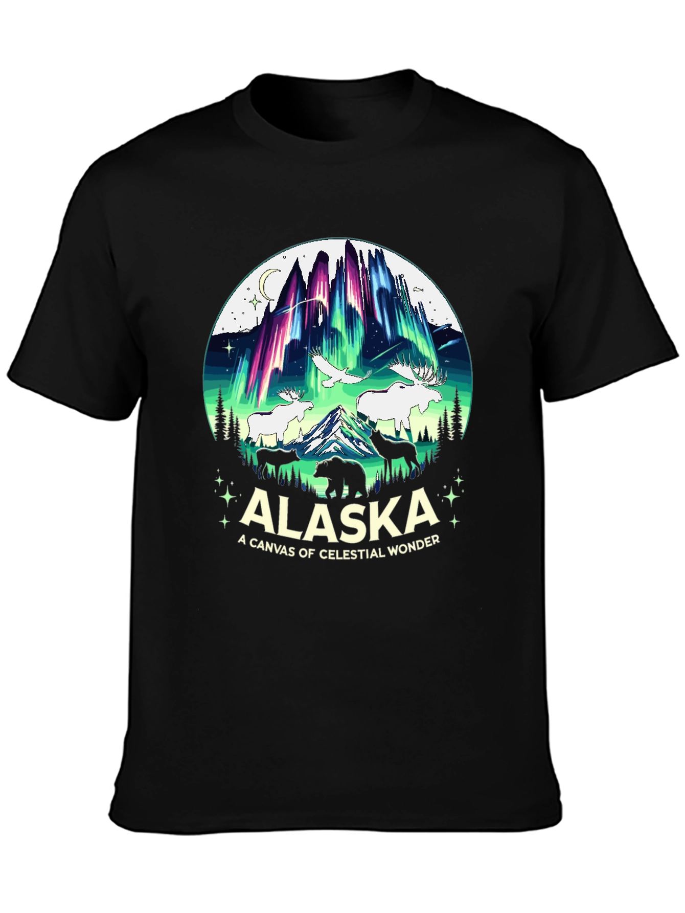 Alaska Celestial Wonder Graphic T-Shirt