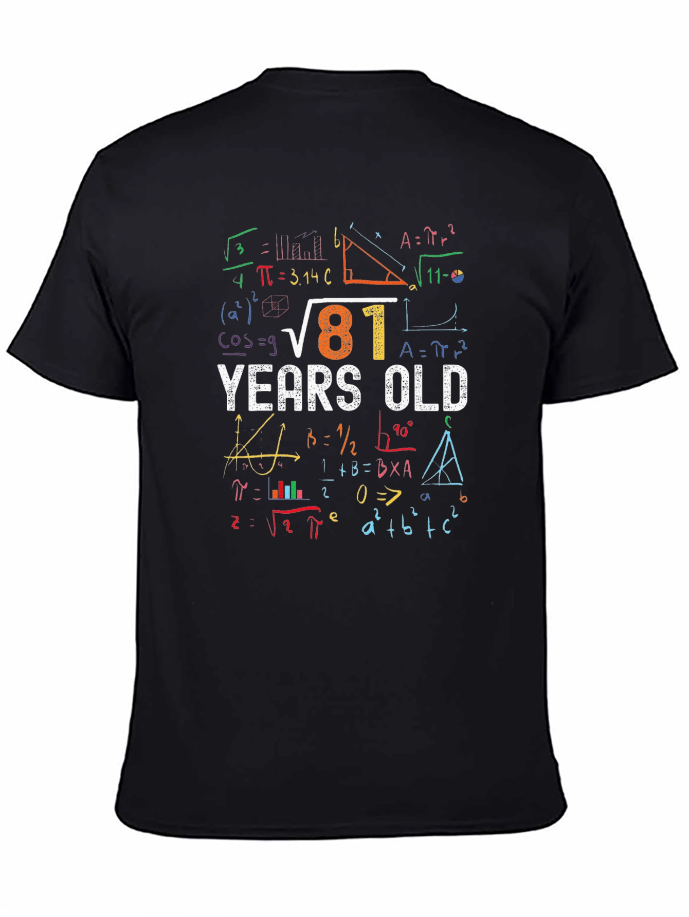 81 Years Old Math Equations T-Shirt