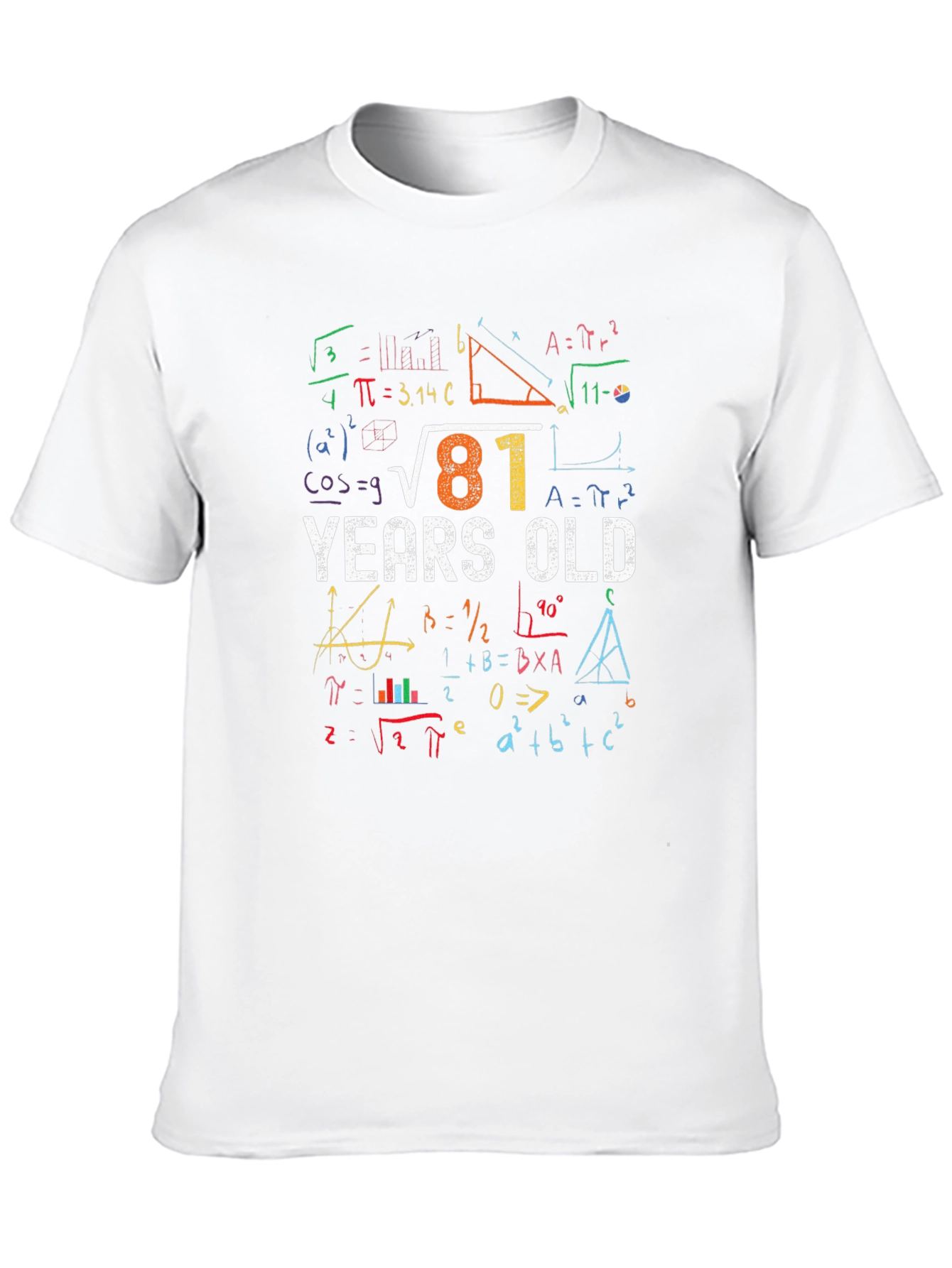 81 Years Old Math Equations T-Shirt