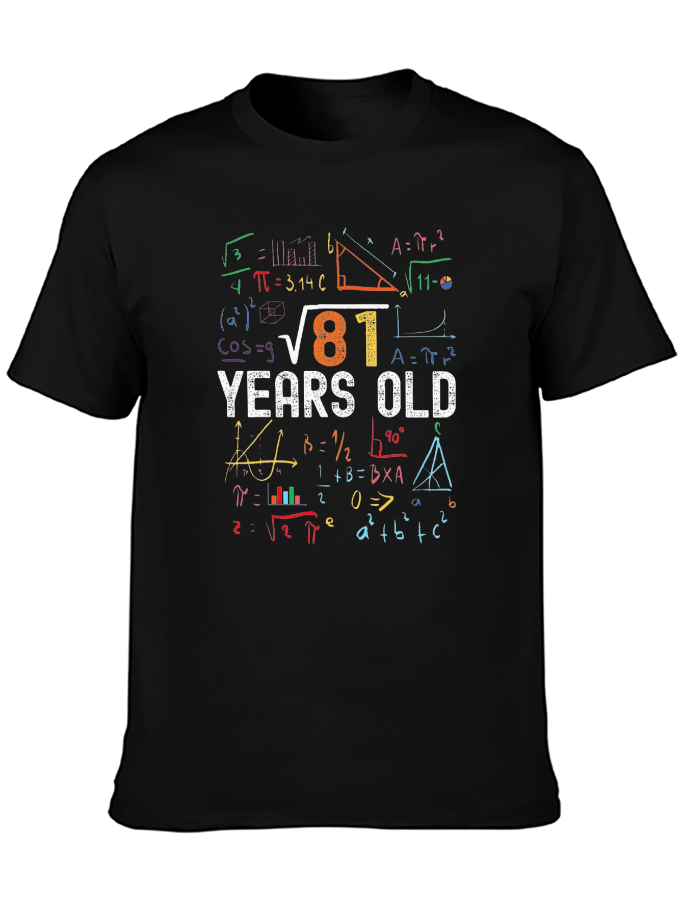 81 Years Old Math Equations T-Shirt