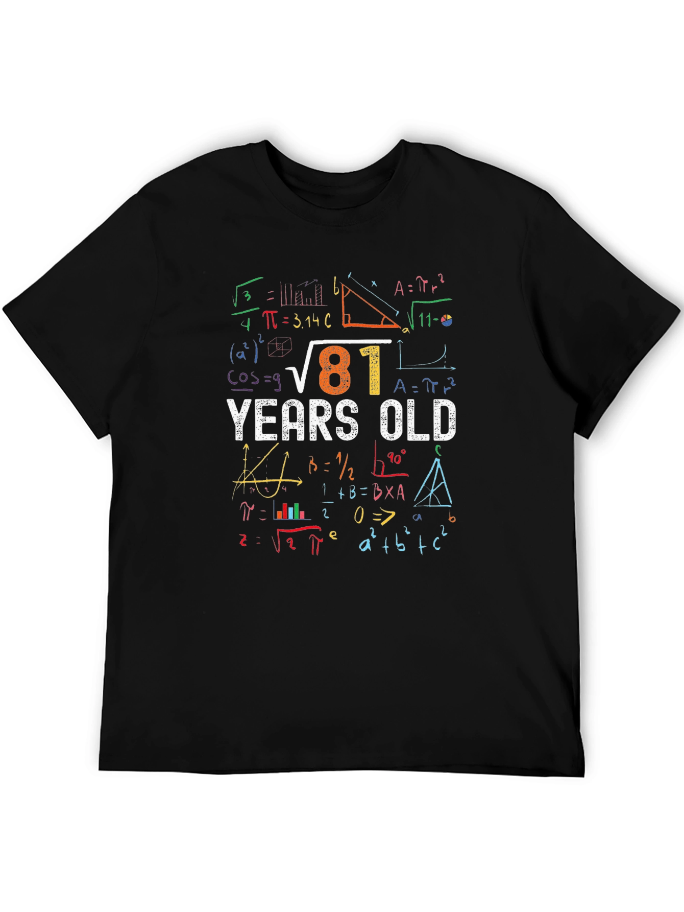 81 Years Old Math Equations T-Shirt