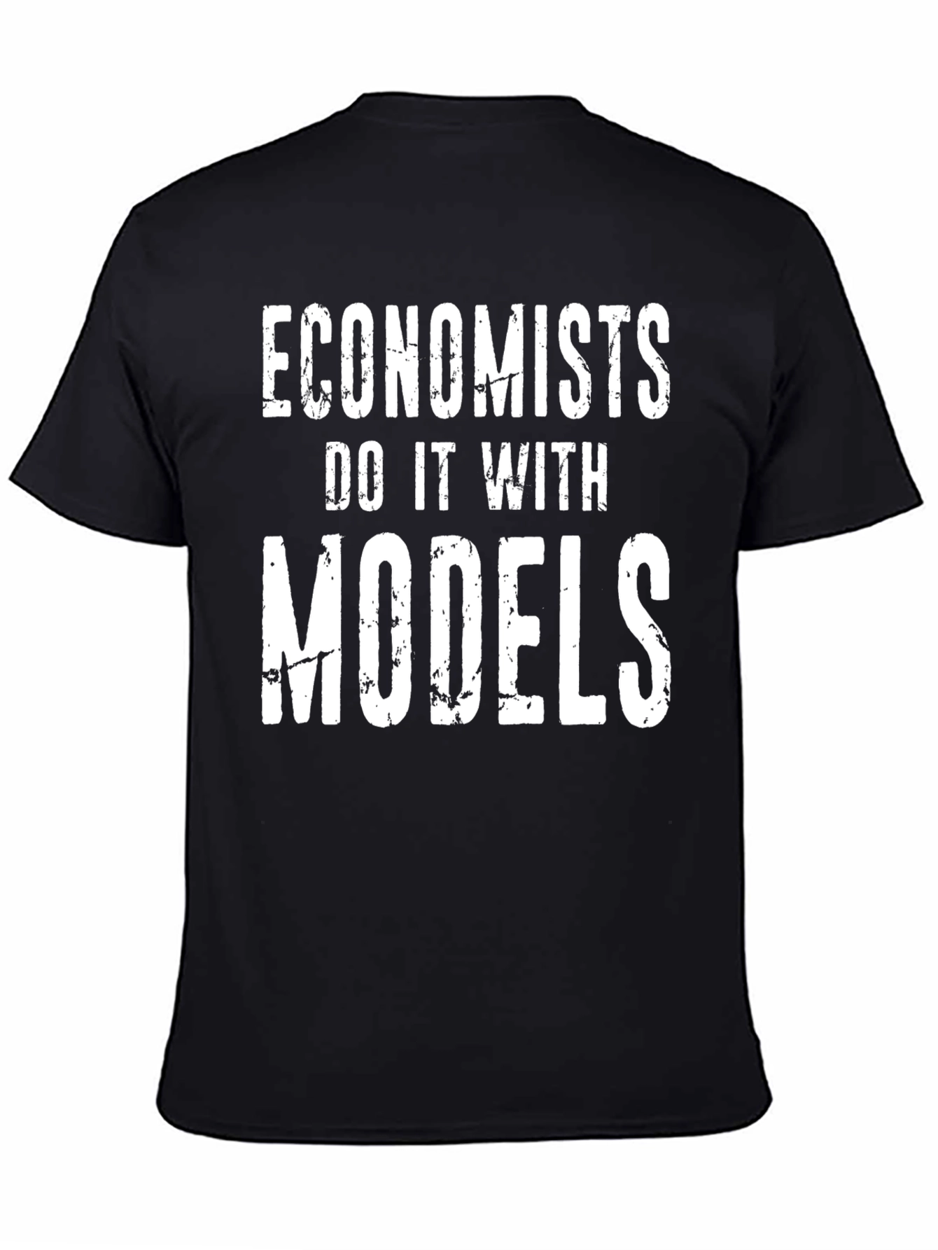 Economists Do It With Models T-Shirt