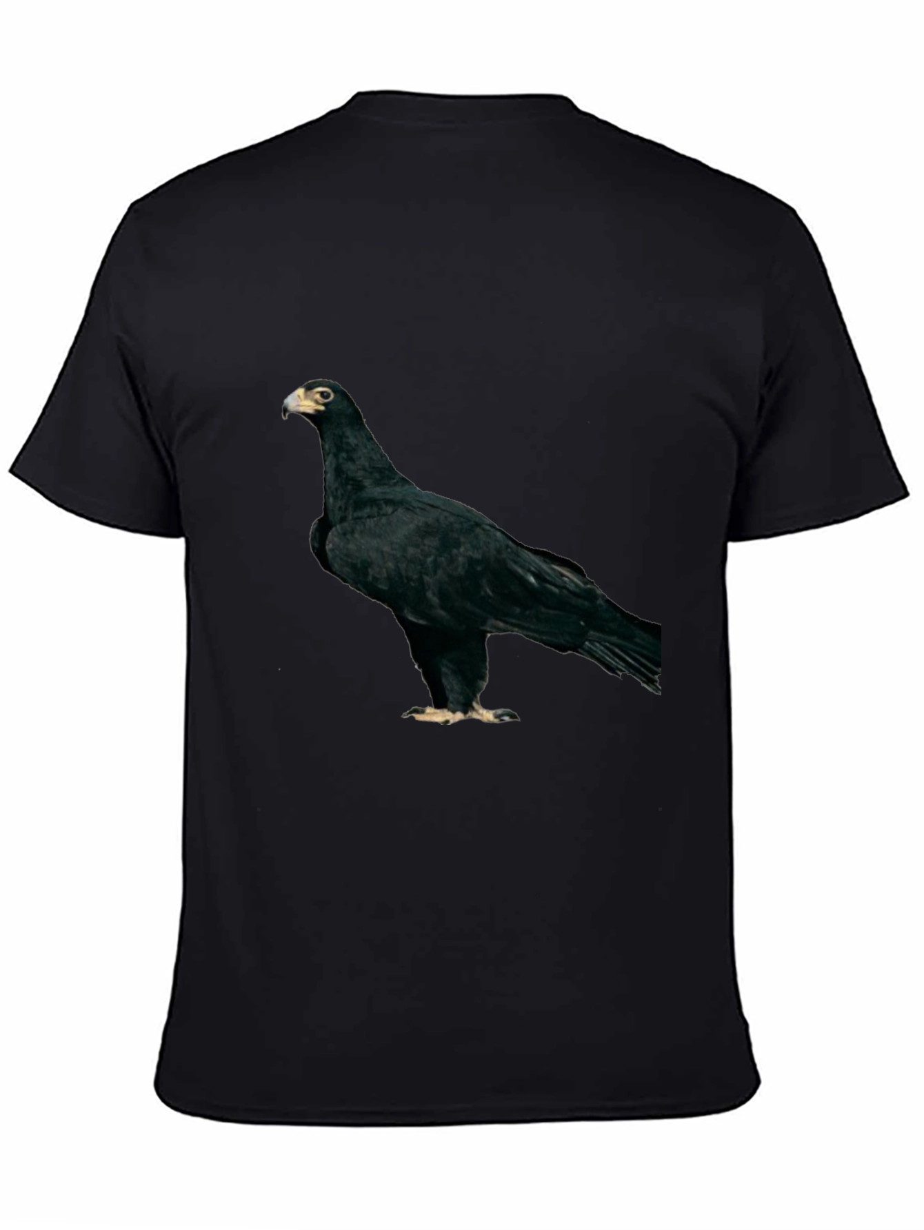 Black Eagle Graphic Tee - Unique Bird Design T-Shirt
