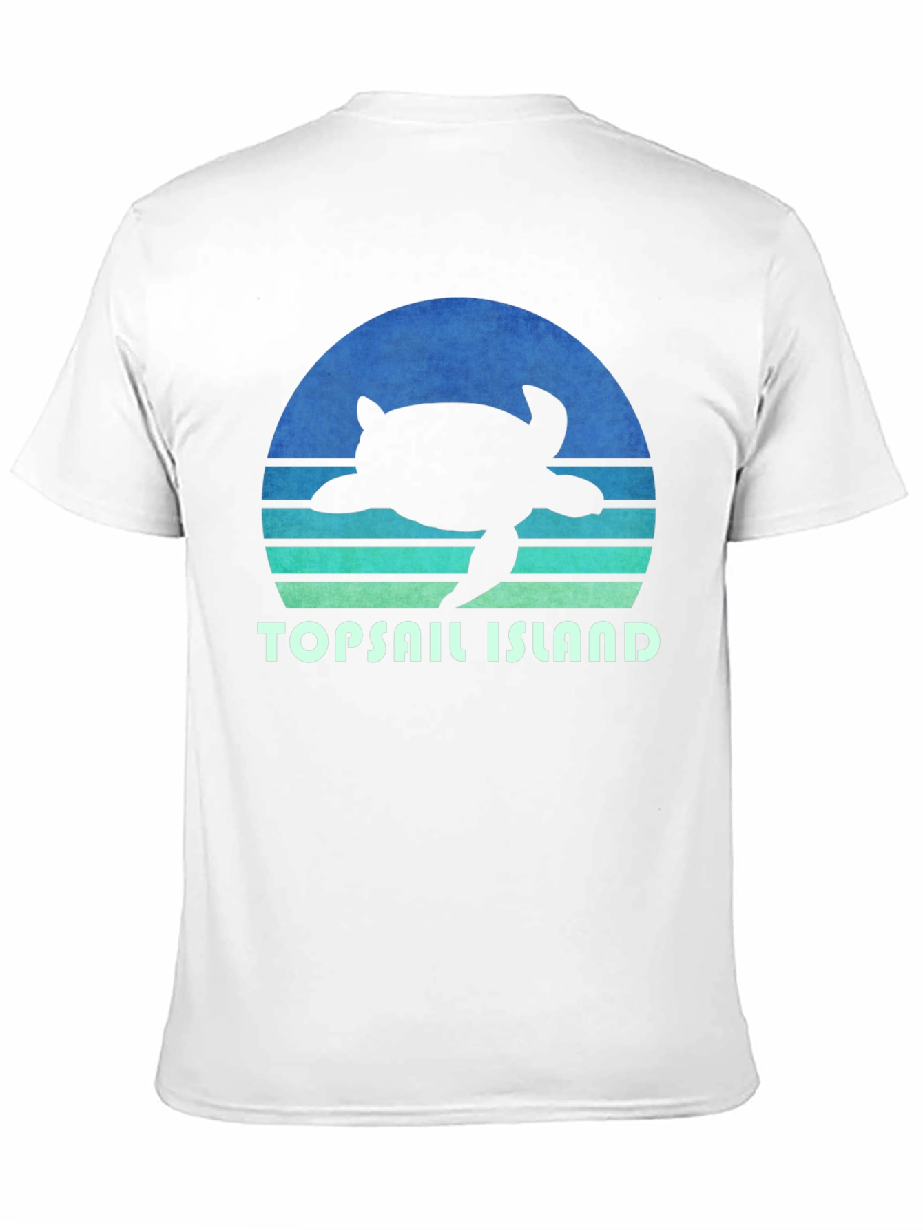 Topsail Island Turtle Graphic Tee