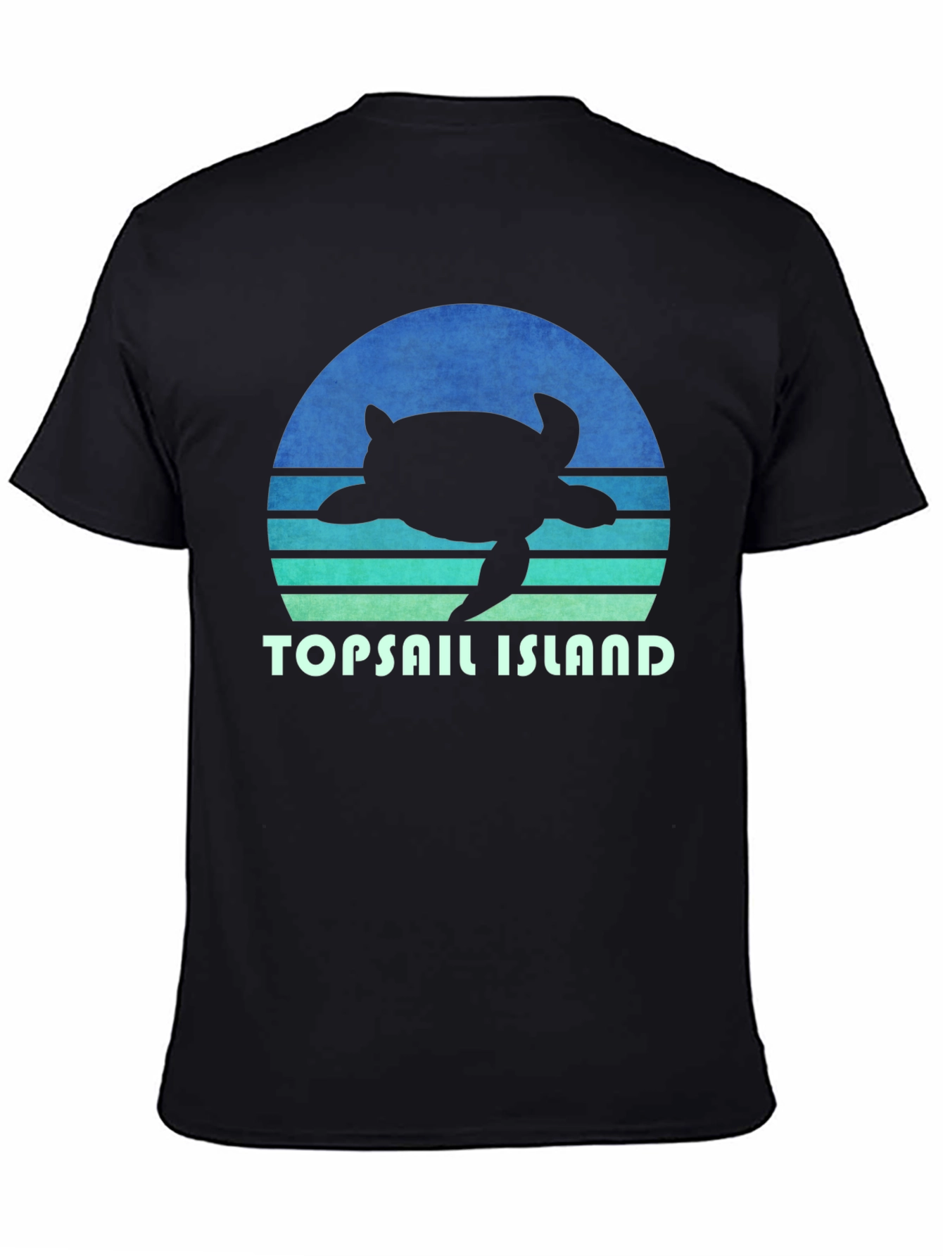 Topsail Island Turtle Graphic Tee