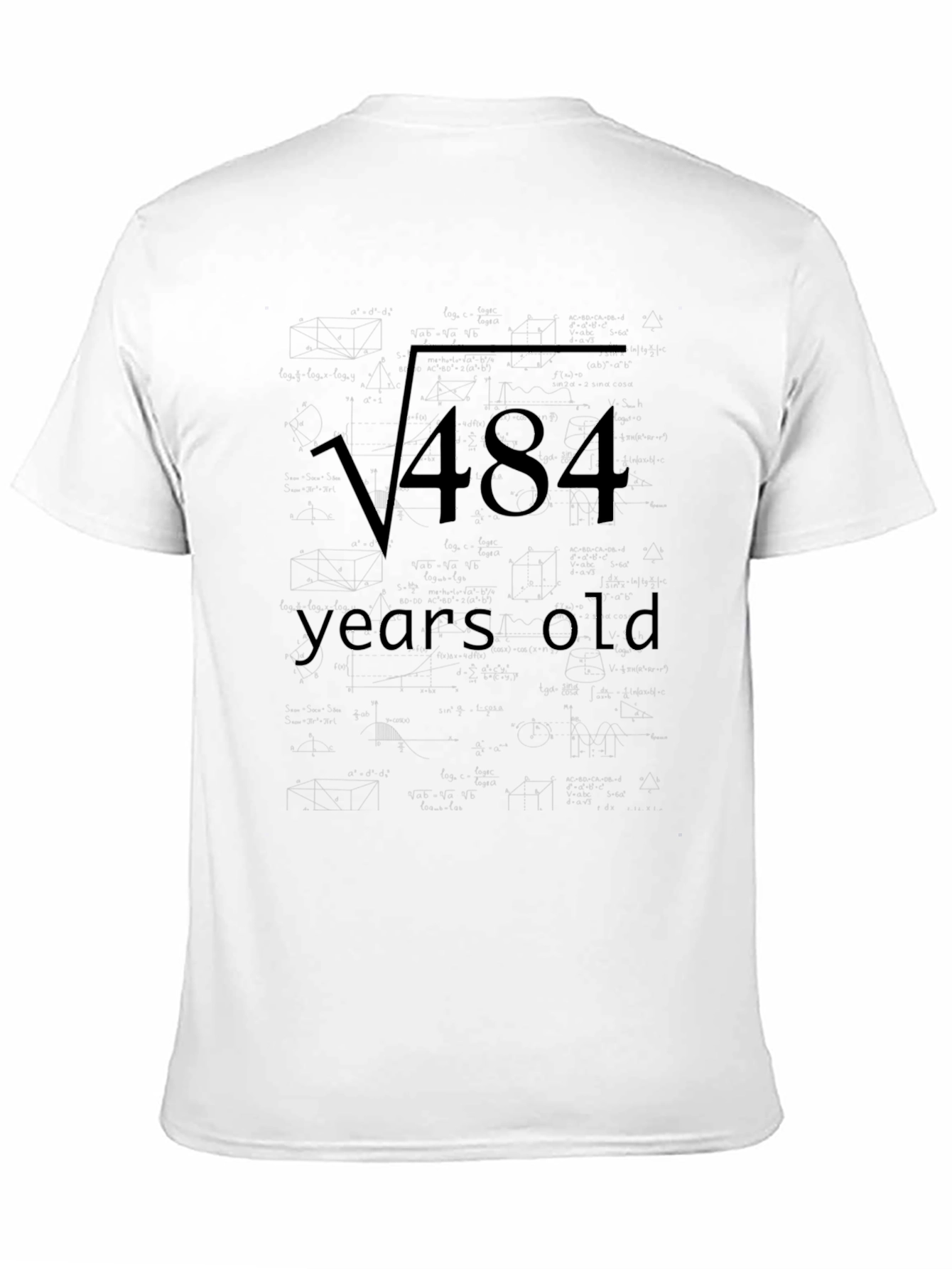 Square Root 484 Years Old Math Joke T-Shirt
