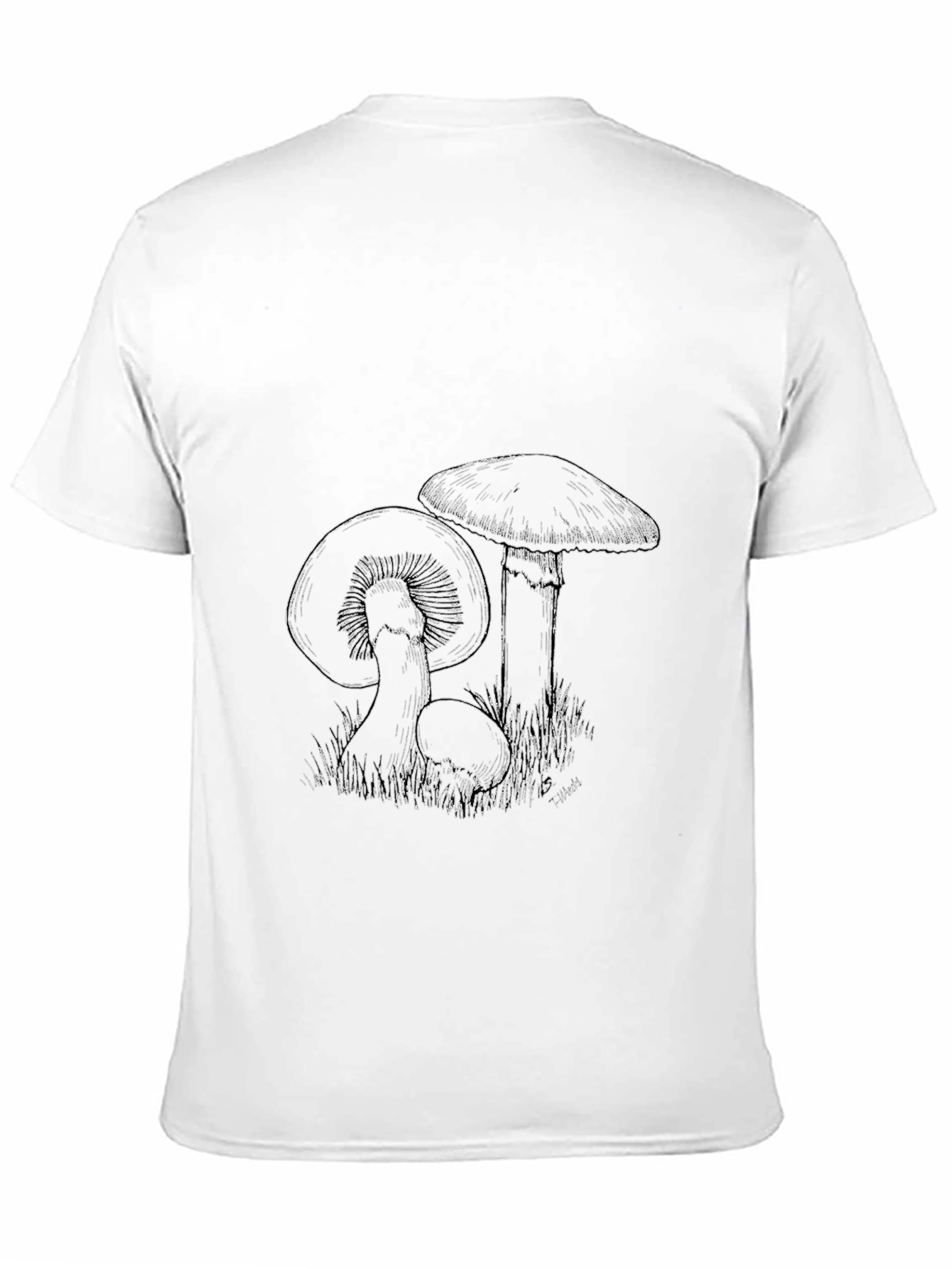 Mushroom Sketch Tee - Organic Cotton Graphic T-Shirt