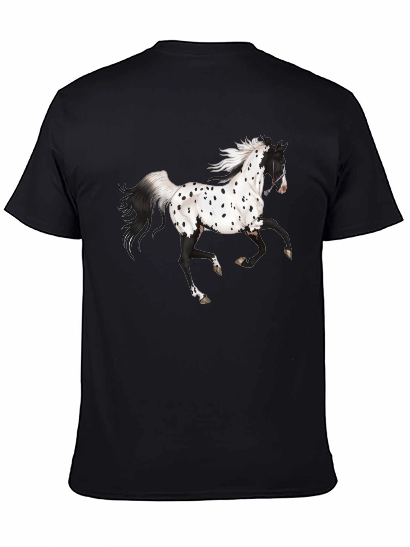 Appaloosa Horse Graphic Tee