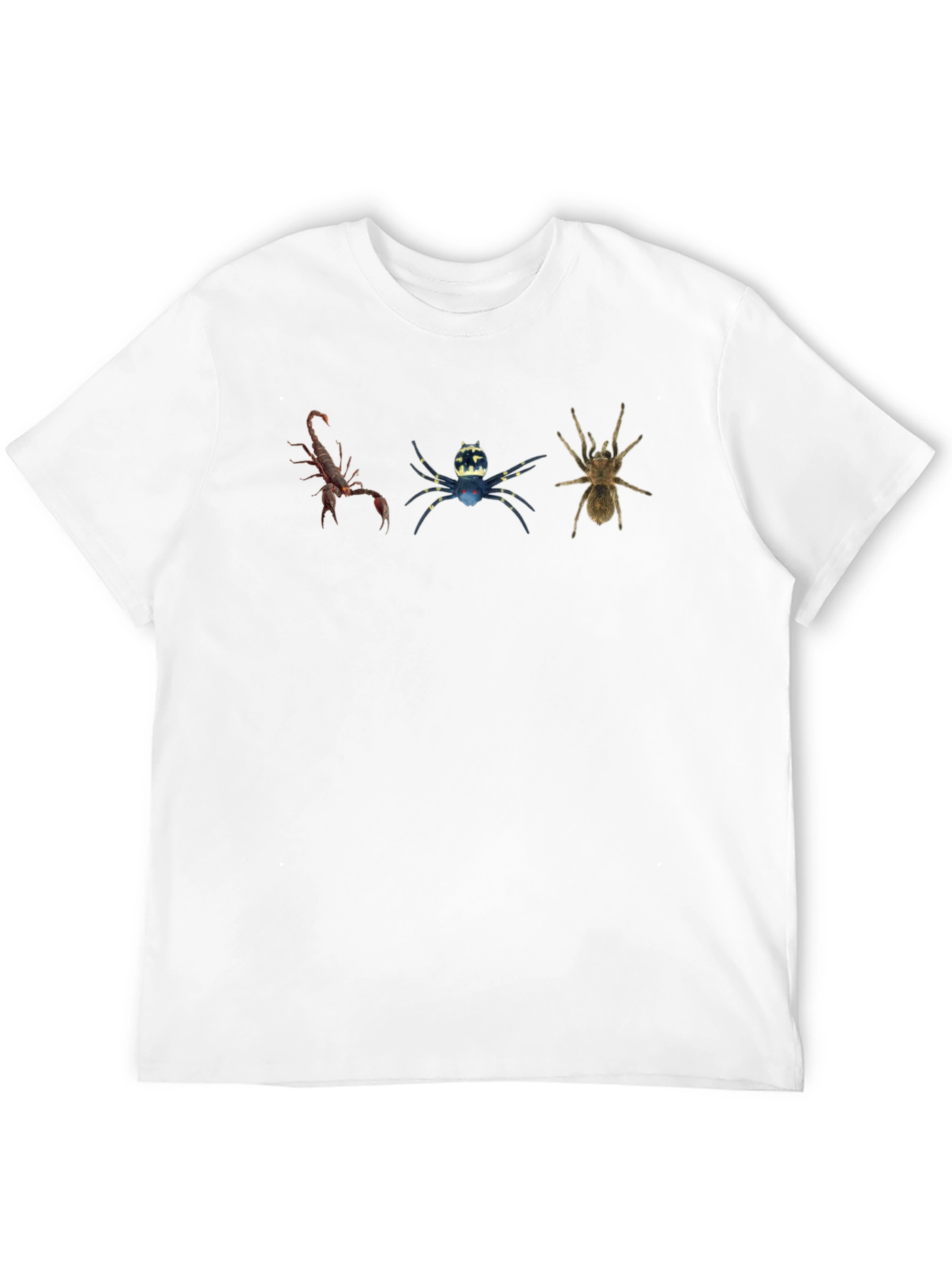 Arachnid Trio Graphic Tee