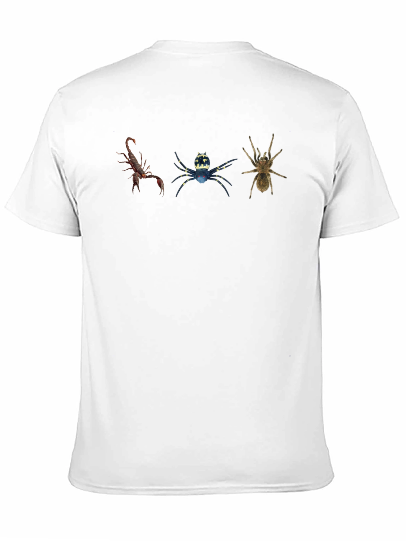 Arachnid Trio Graphic Tee