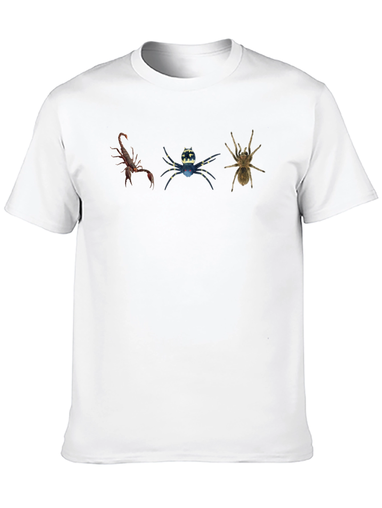 Arachnid Trio Graphic Tee