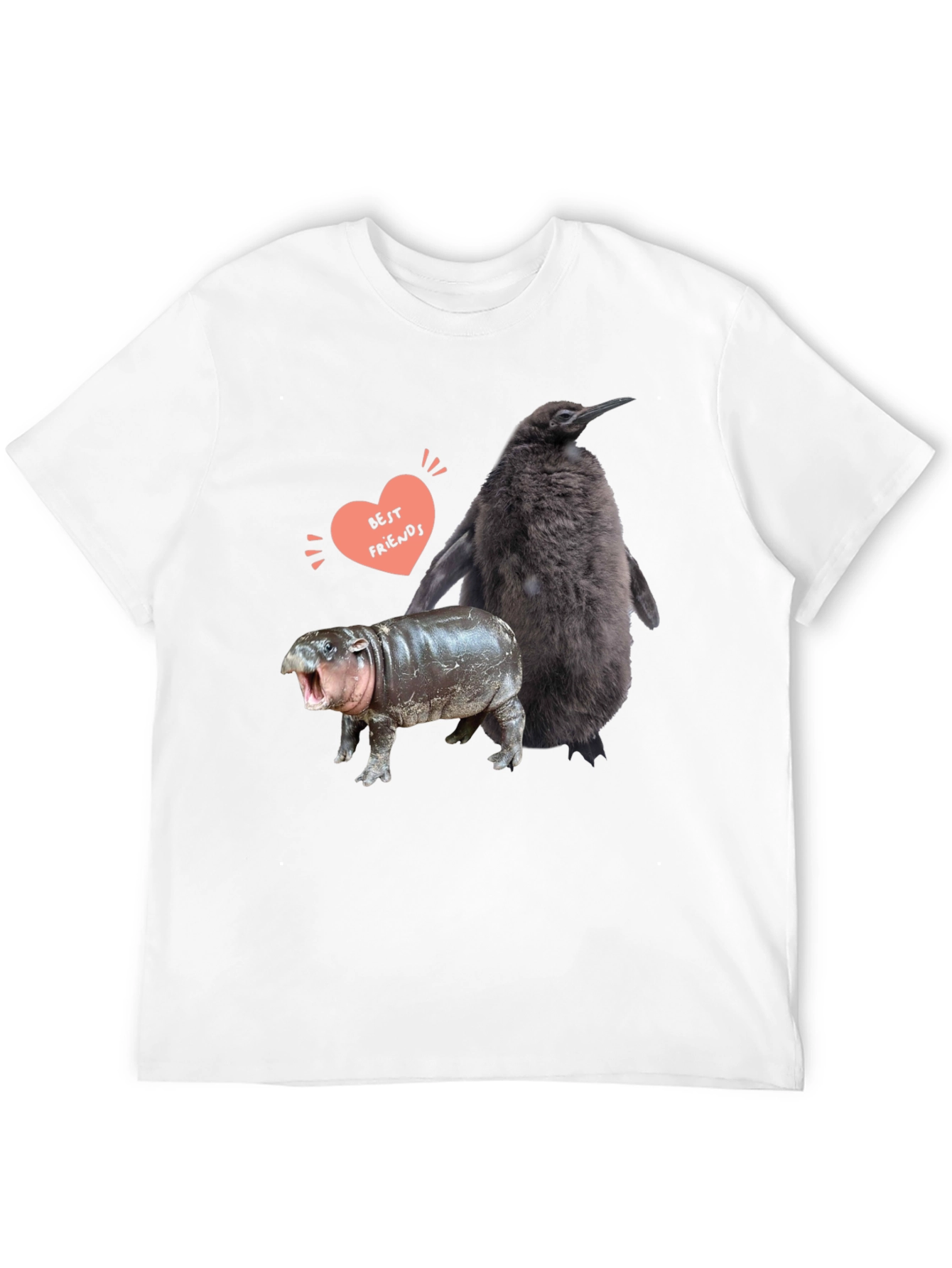 Penguin Hippo Best Friends Graphic Tee