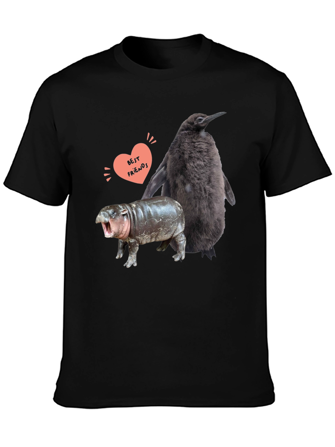 Penguin Hippo Best Friends Graphic Tee