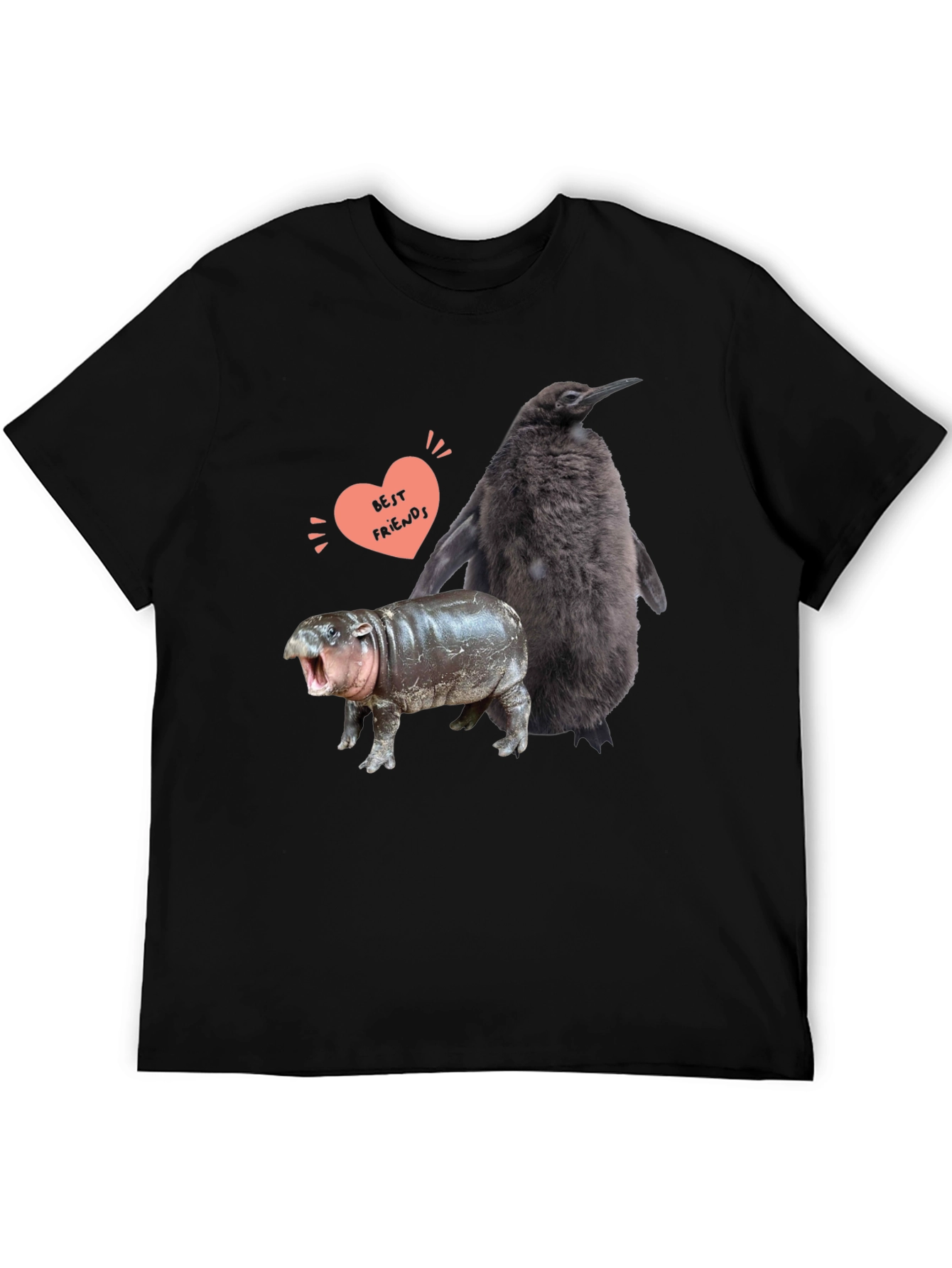 Penguin Hippo Best Friends Graphic Tee