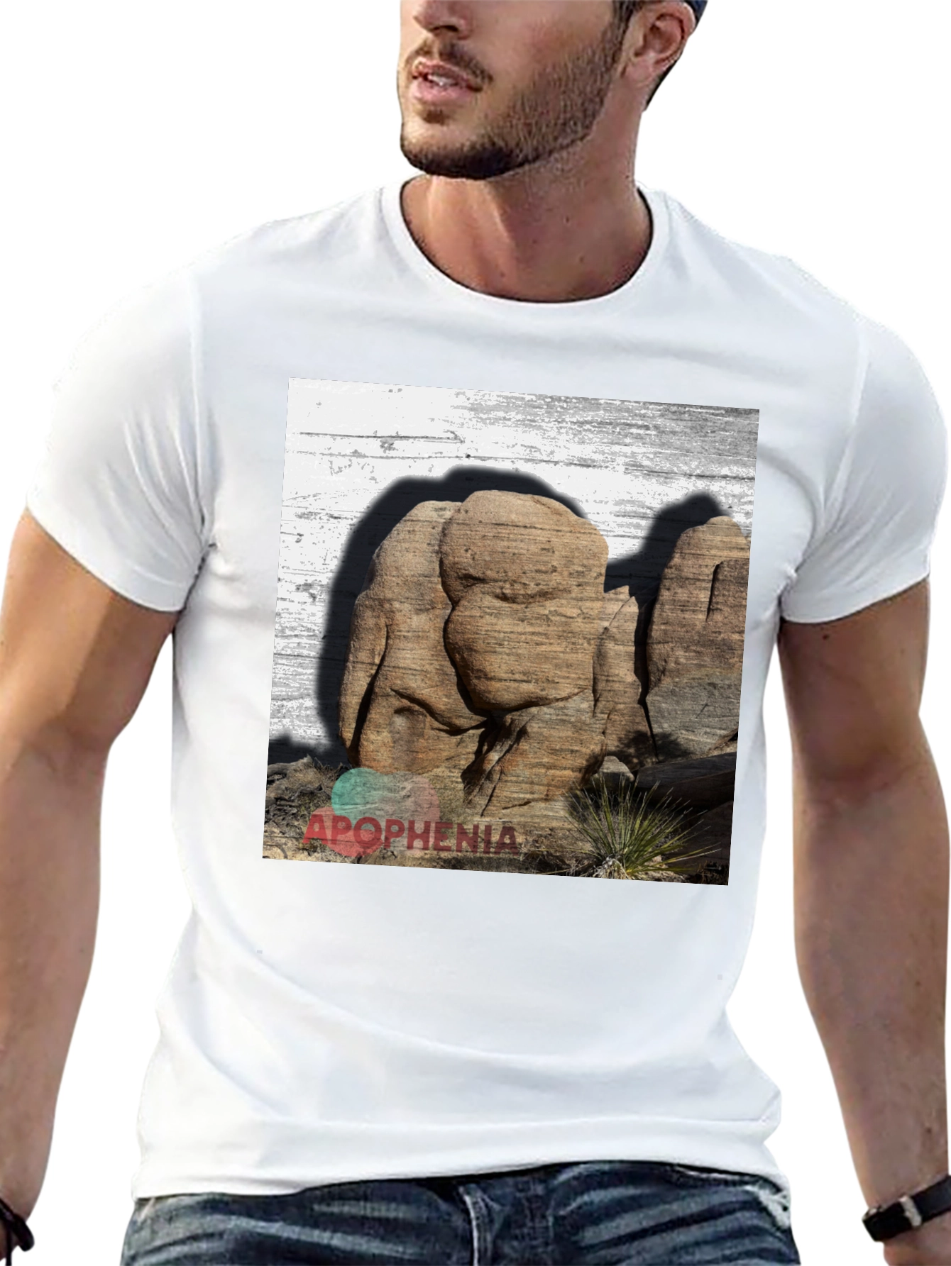 Apophenia Desert Rocks Graphic Tee - Black