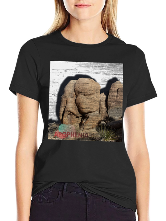 Apophenia Desert Rocks Graphic Tee - Black
