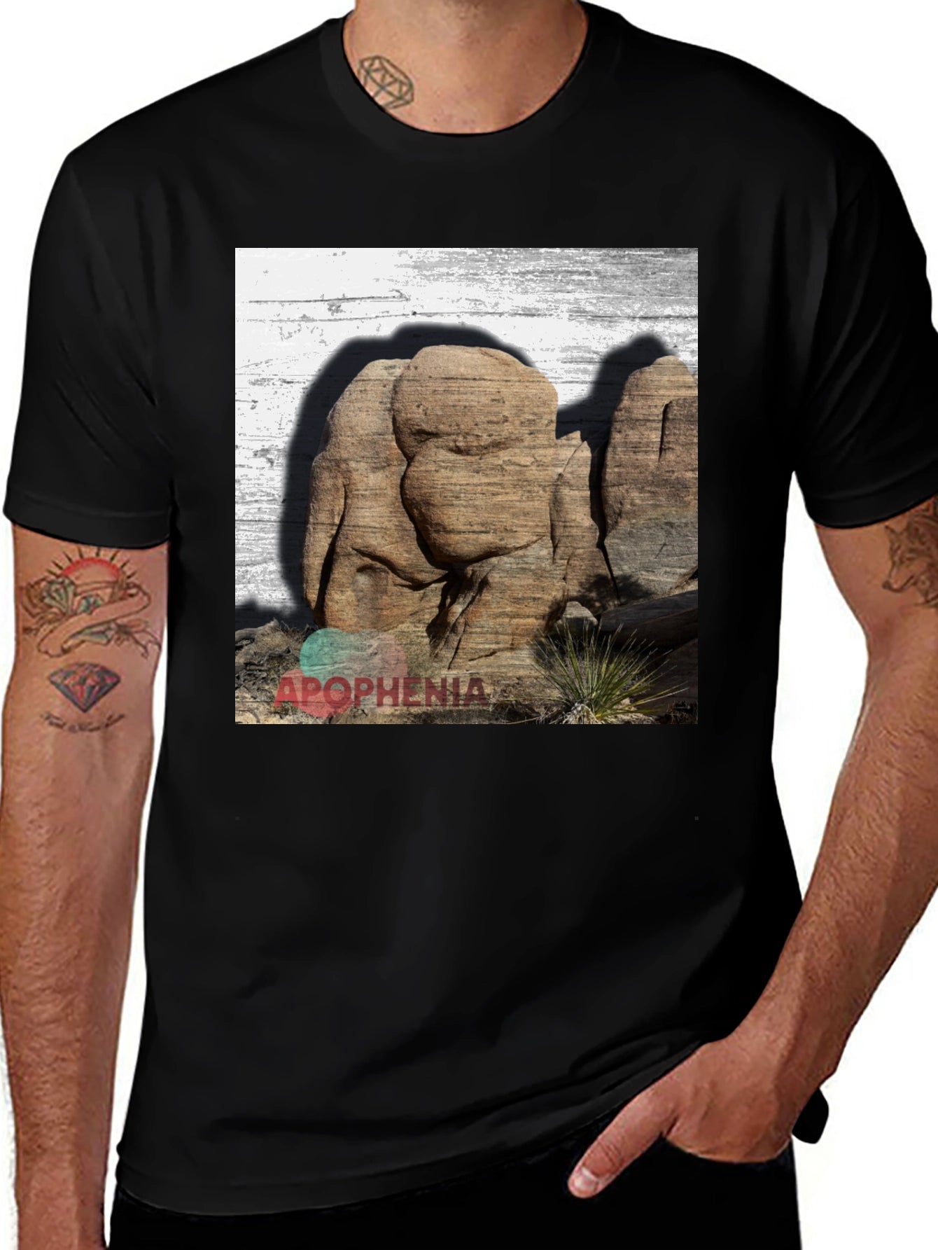 Apophenia Desert Rocks Graphic Tee - Black