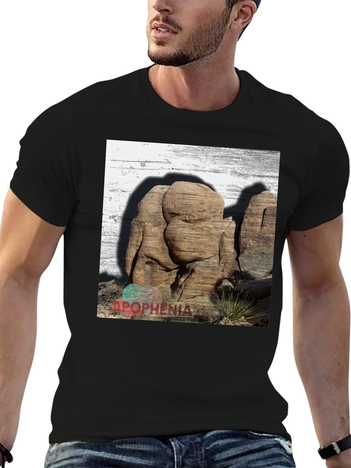 Apophenia Desert Rocks Graphic Tee - Black