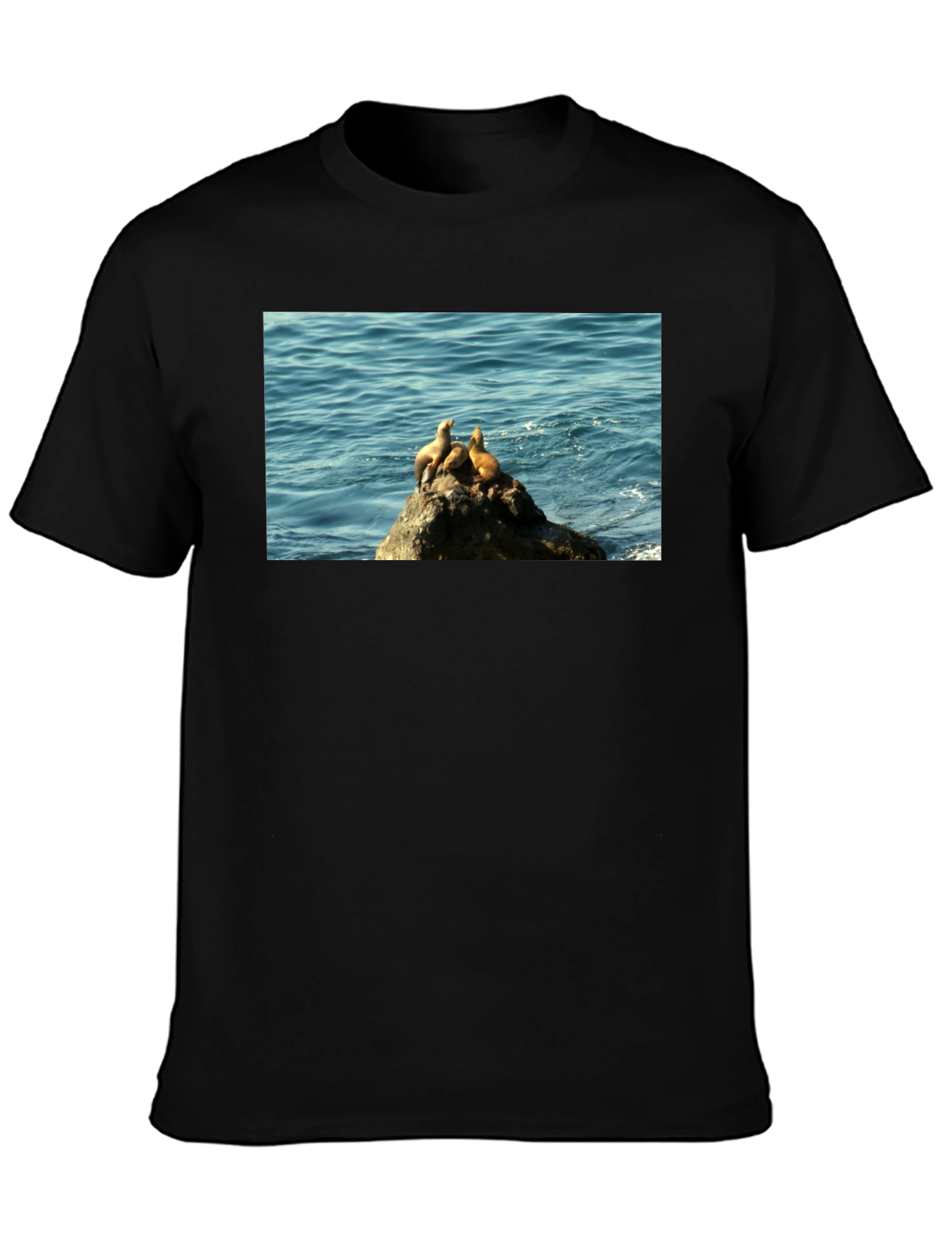 Seal Rock Black T-Shirt