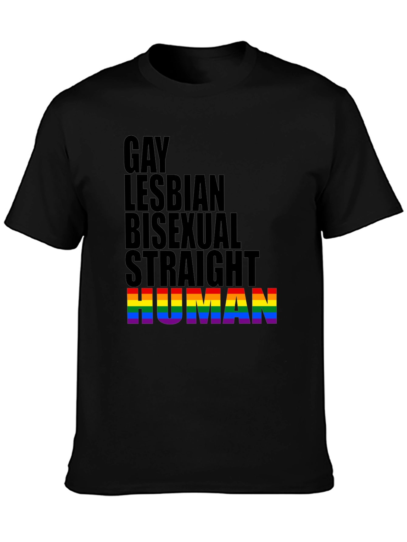 LGBTQ+ Equality Tee: Gay Lesbian Bisexual Straight Human Pride