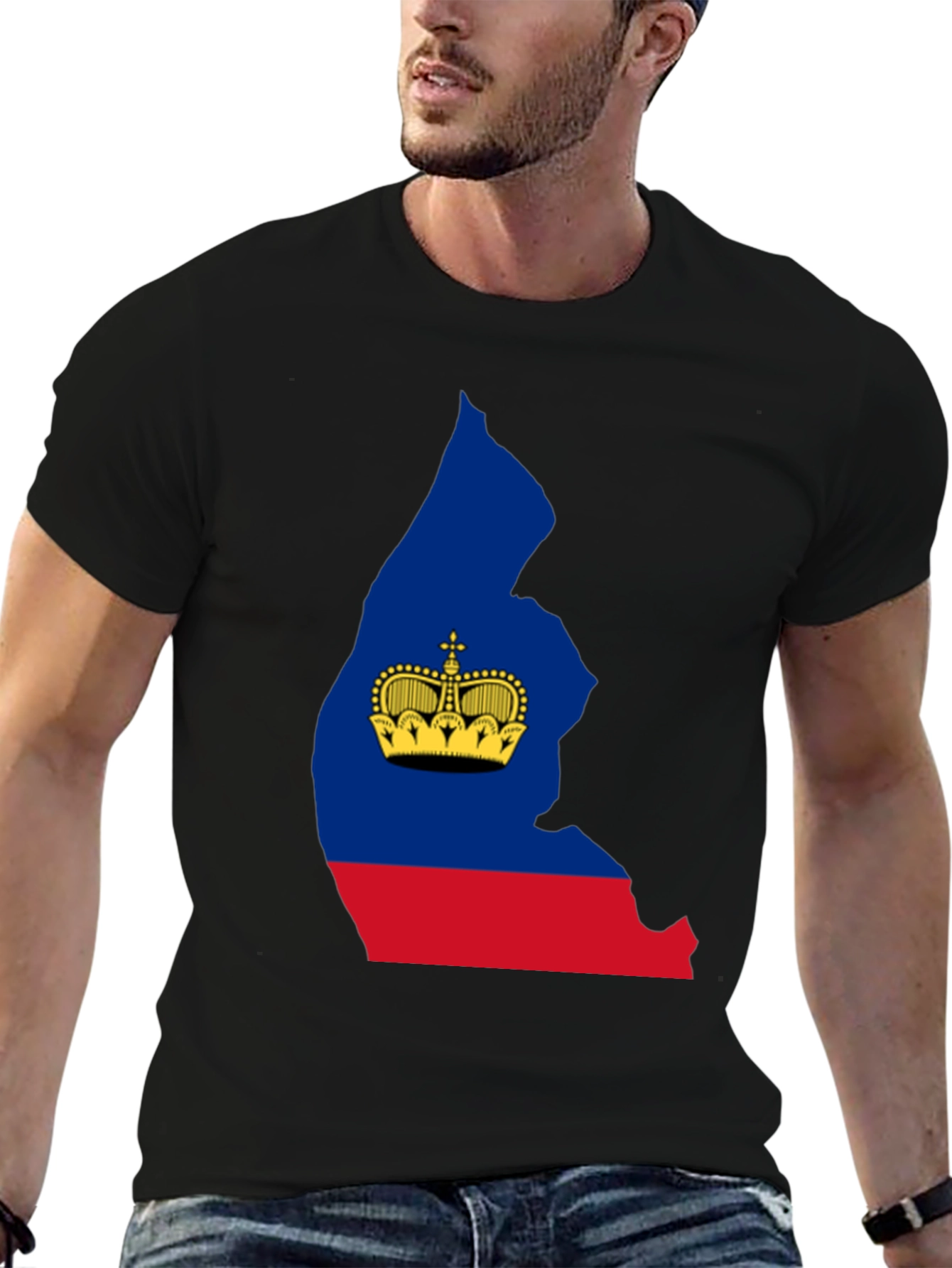 Liechtenstein Flag Silhouette T-Shirt