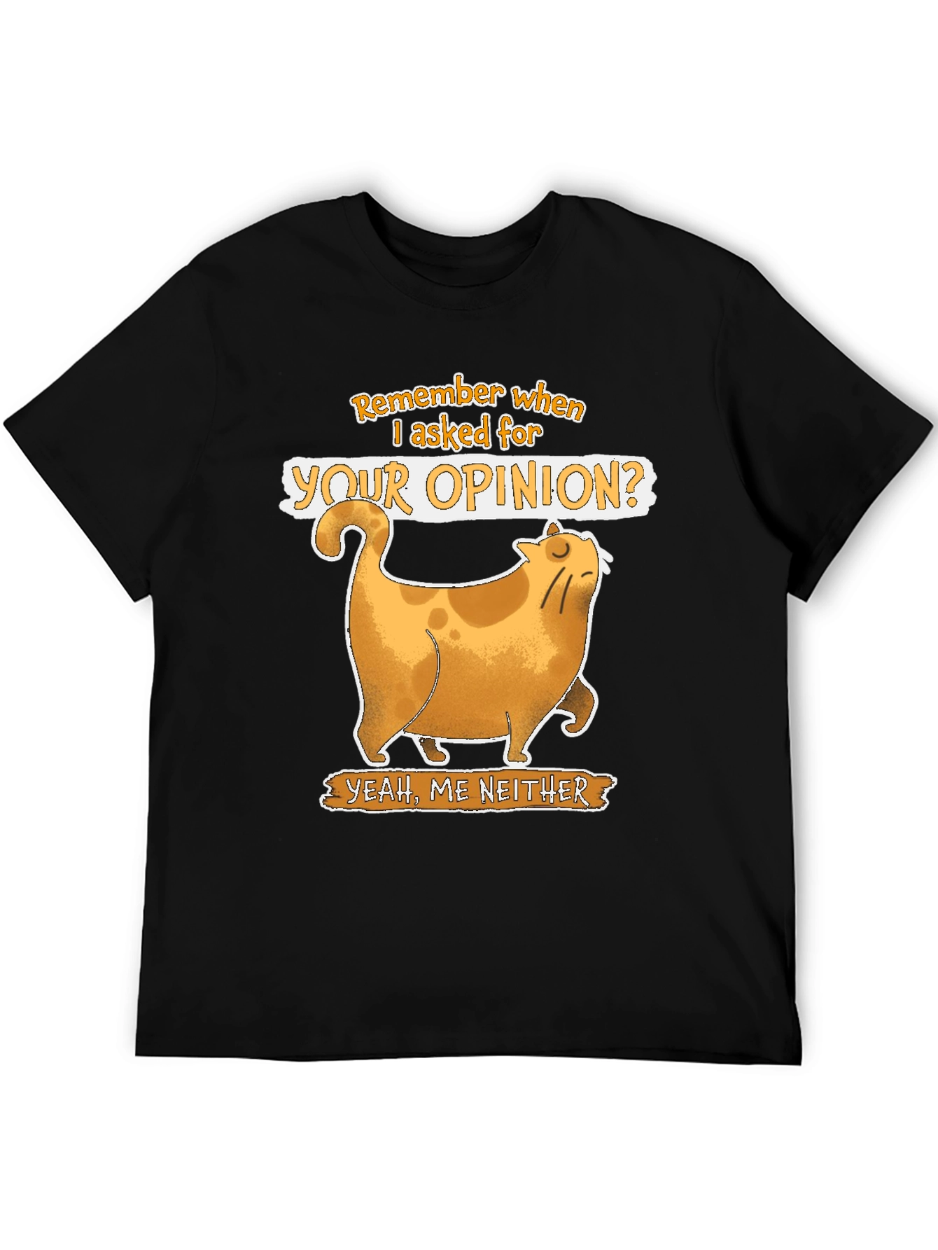 Sarcastic Cat T-Shirt - Remember When I Asked?