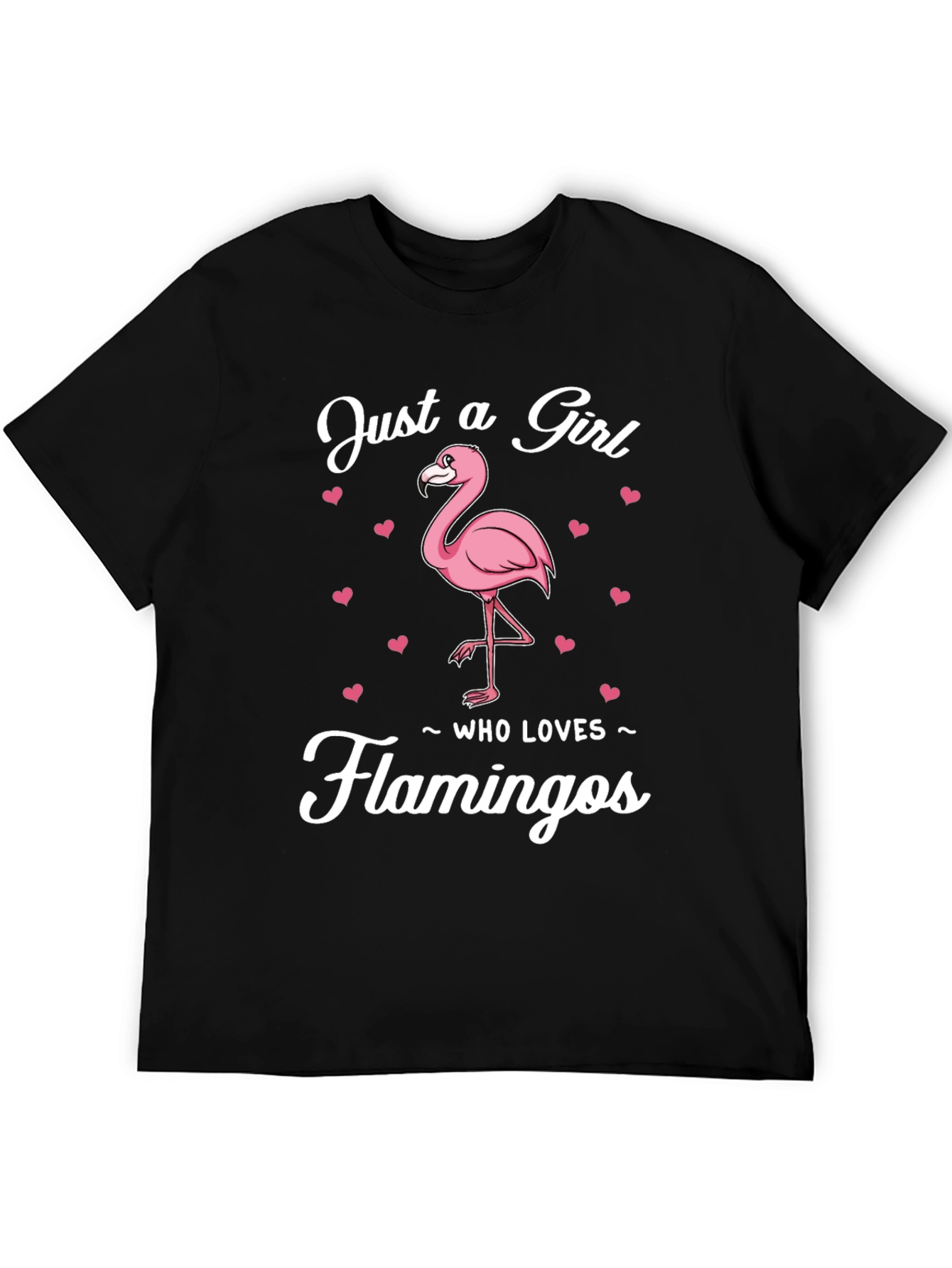 Just a Girl Who Loves Flamingos T-Shirt