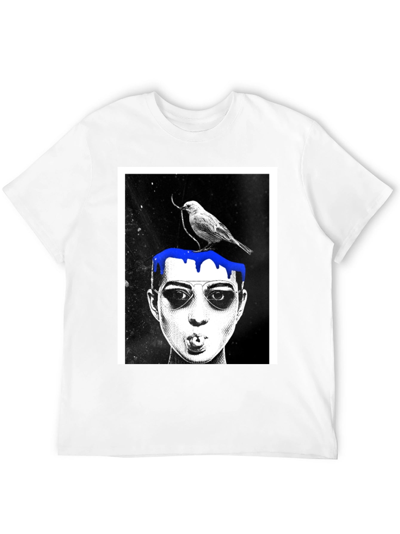 Graphic Tee: Bird & Dripping Blue Paint Design