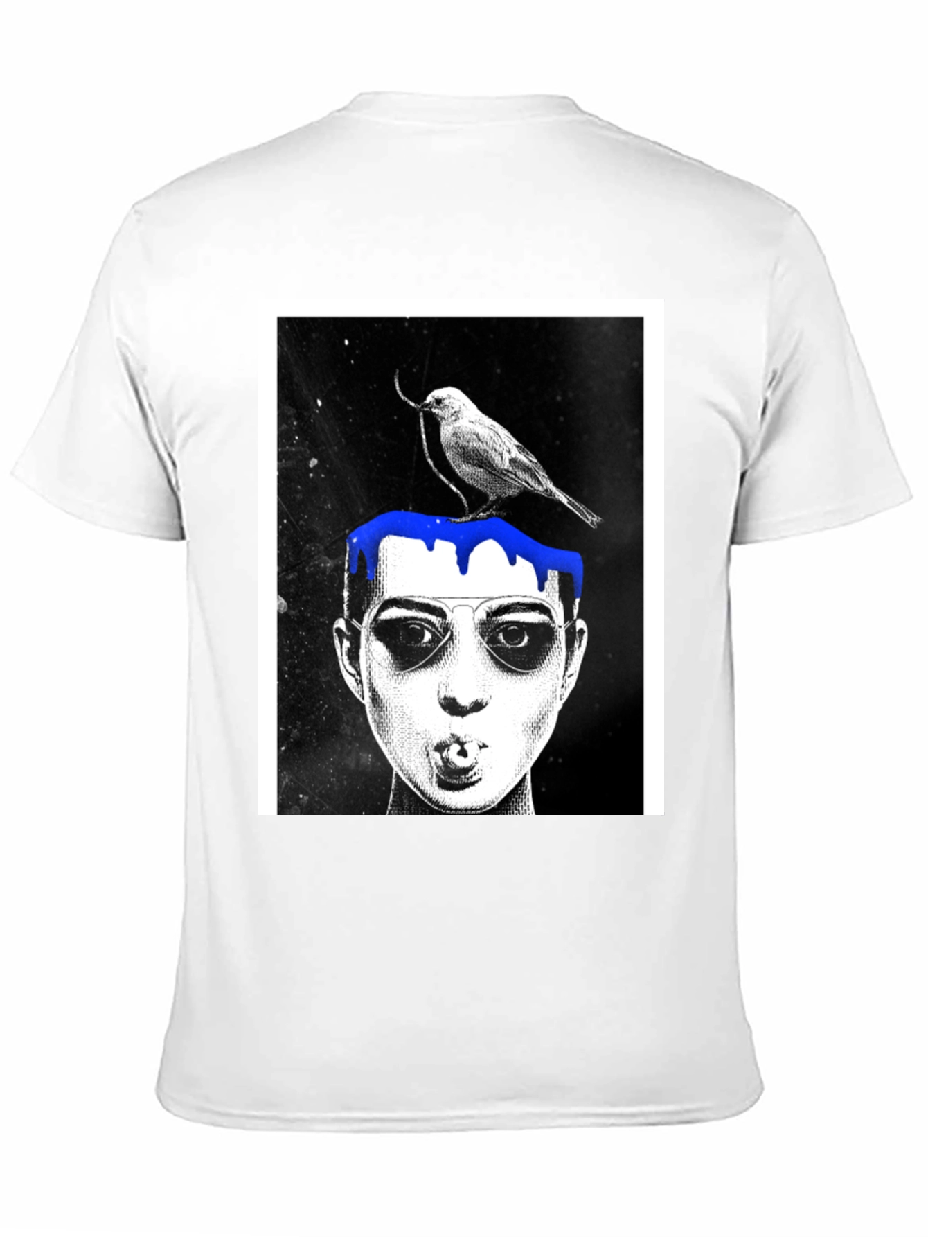 Graphic Tee: Bird & Dripping Blue Paint Design