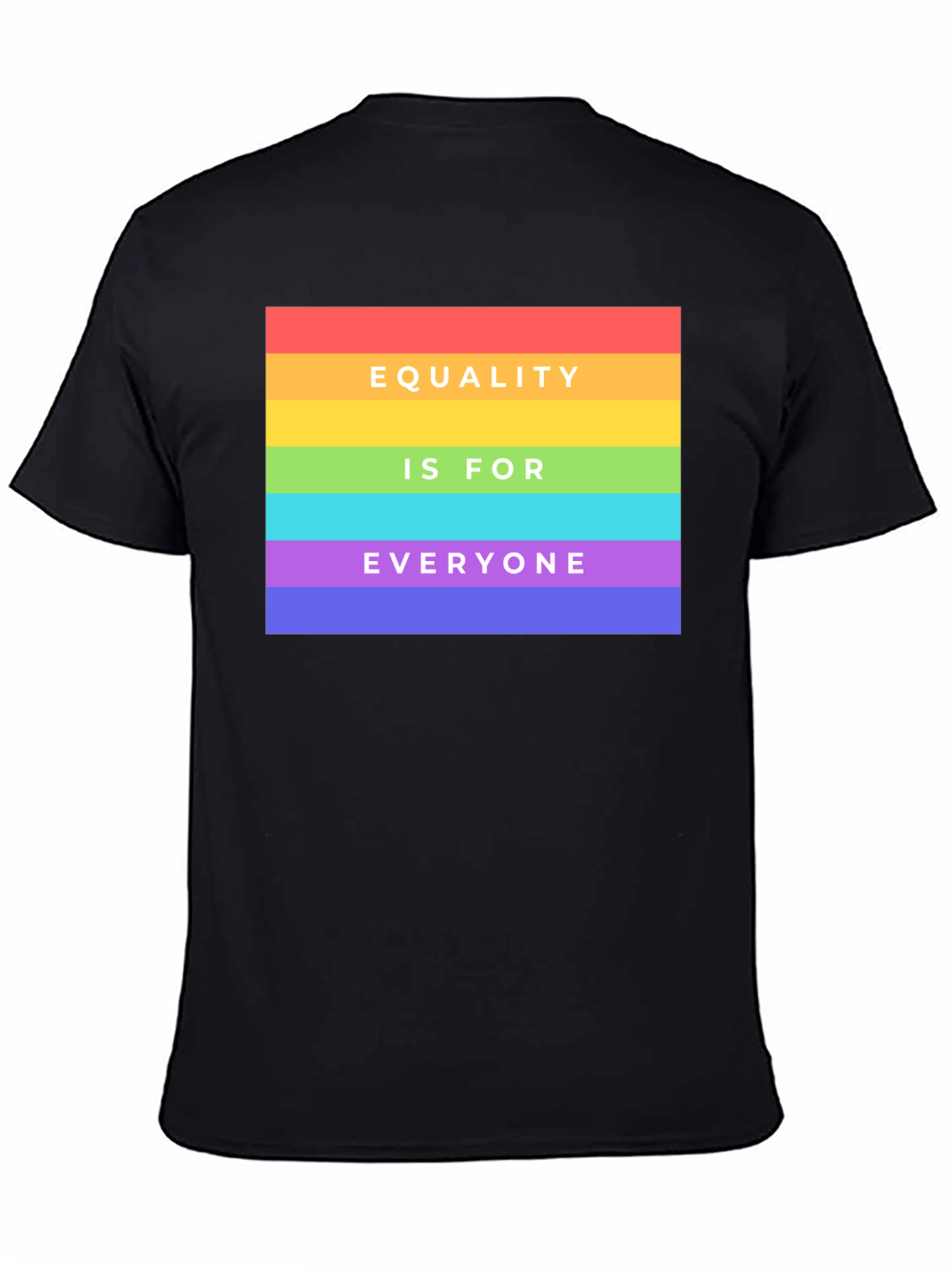 Equality For Everyone Graphic T-Shirt