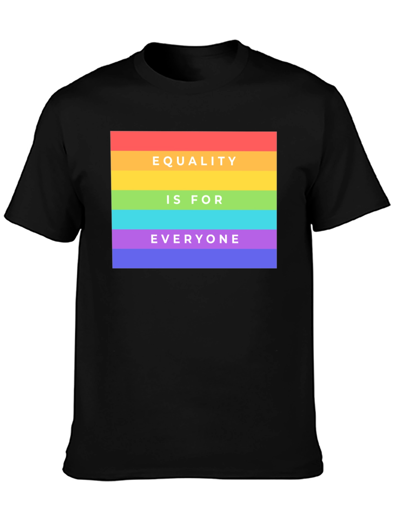 Equality For Everyone Graphic T-Shirt