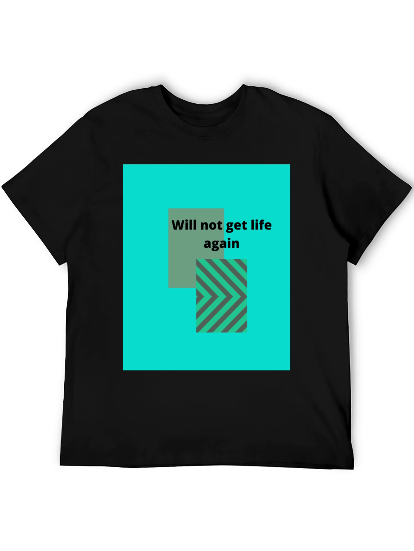 Graphic Tee: Will Not Get Life Again - Black
