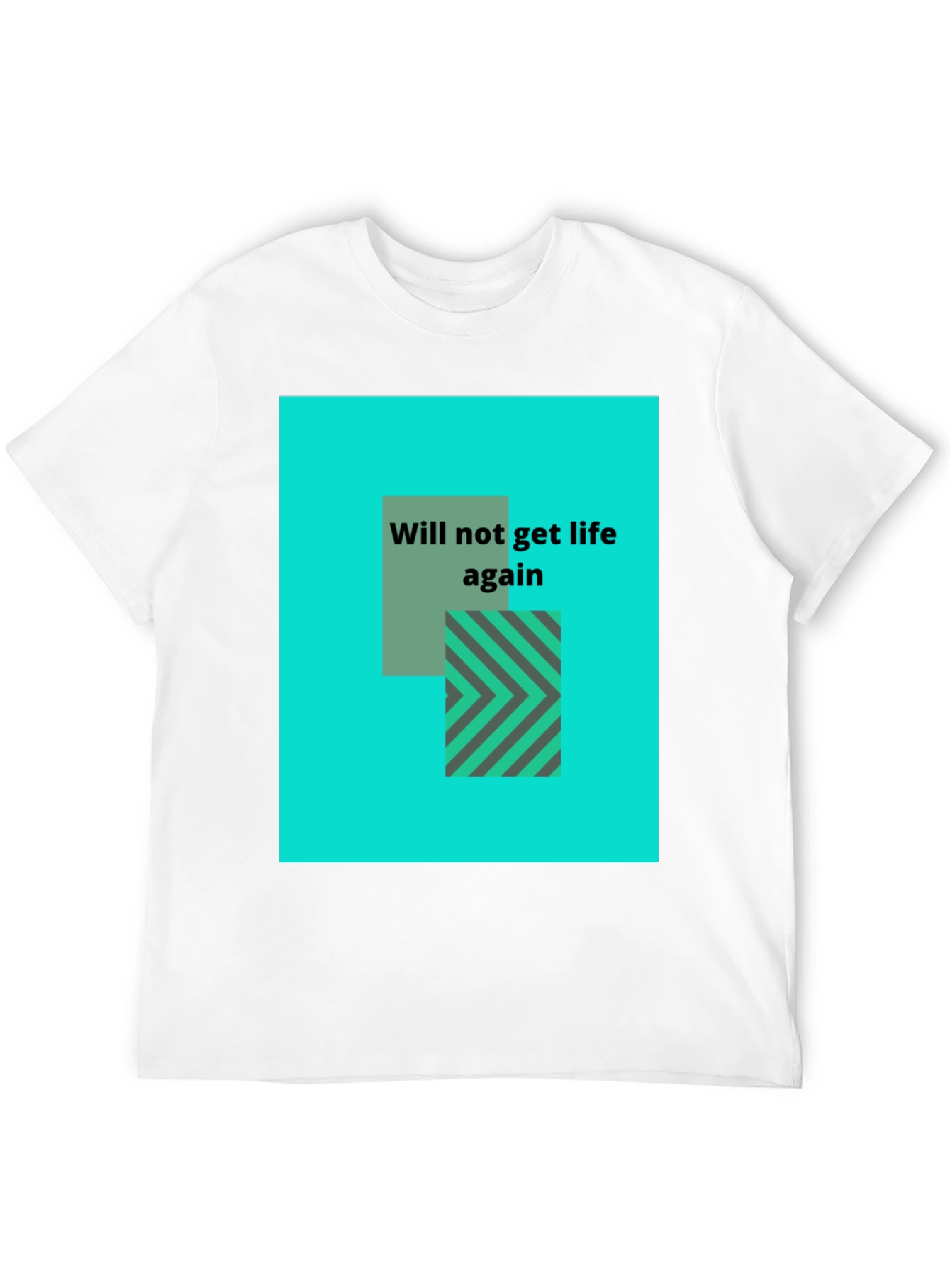 Graphic Tee: Will Not Get Life Again - Black